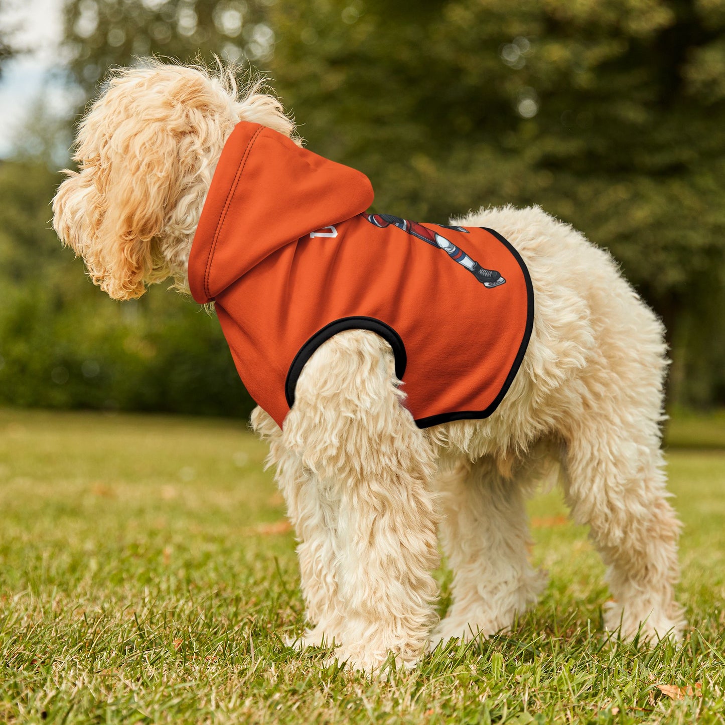 Princess Grace TEAM USA Pet Hoodie