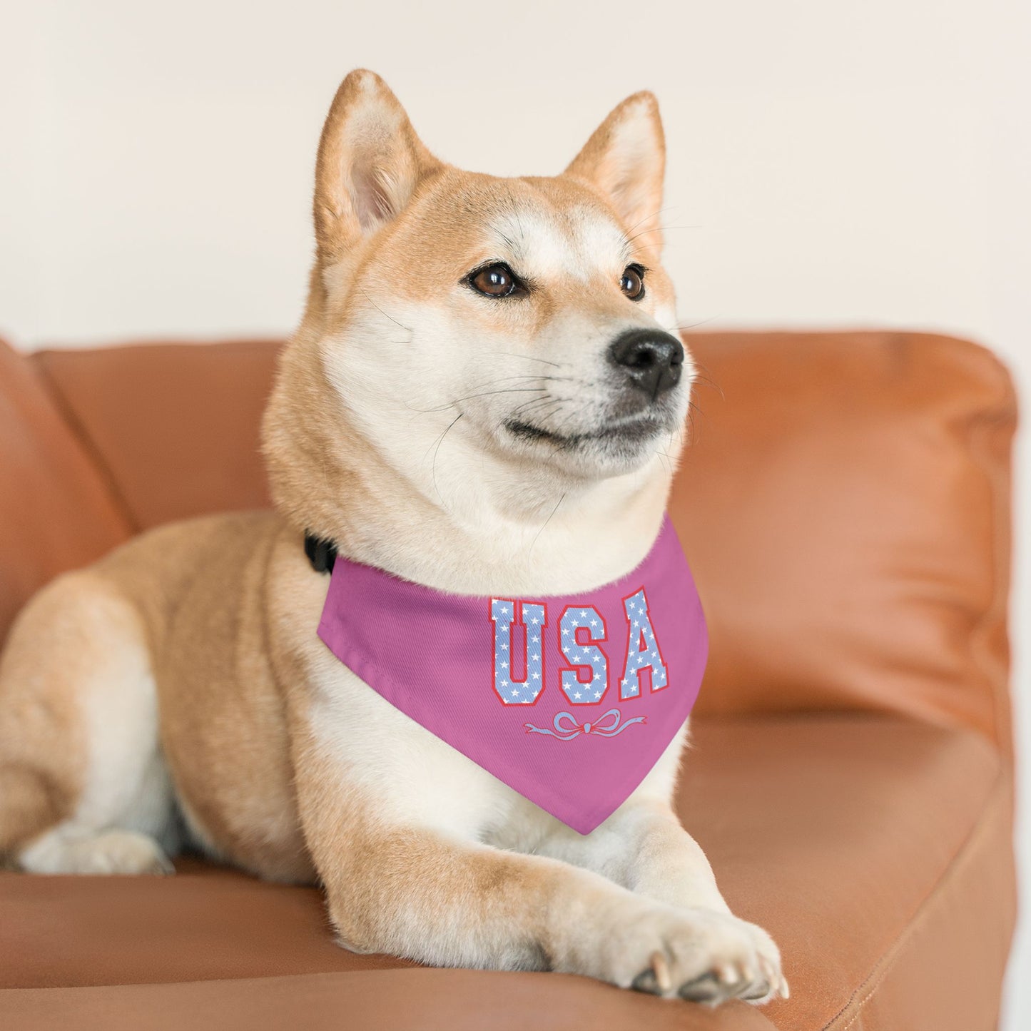 Princess Grace USA Pet Bandana Collar for Dogs Patriotic Dog Accessories