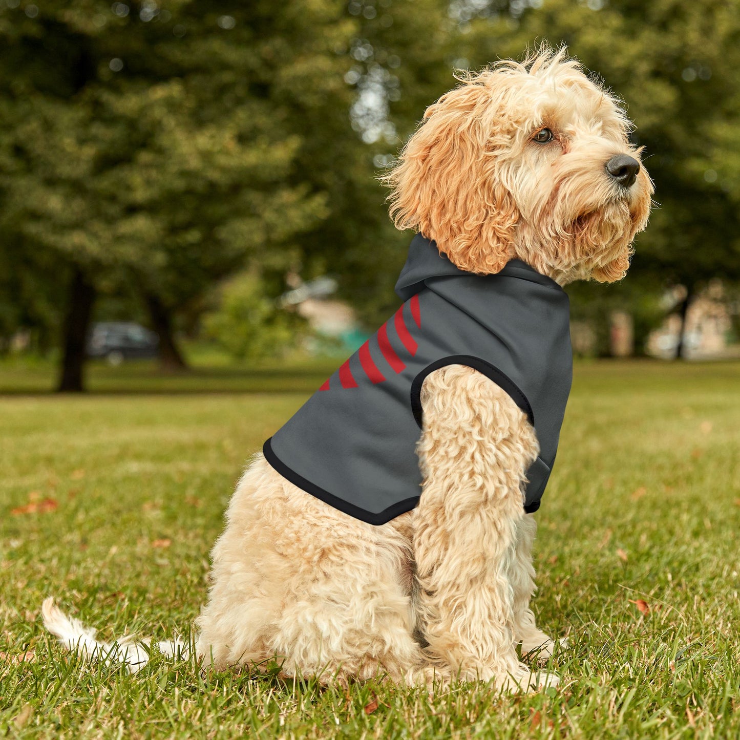 Princess Grace Patriotic Pet Hoodie with Heart Design