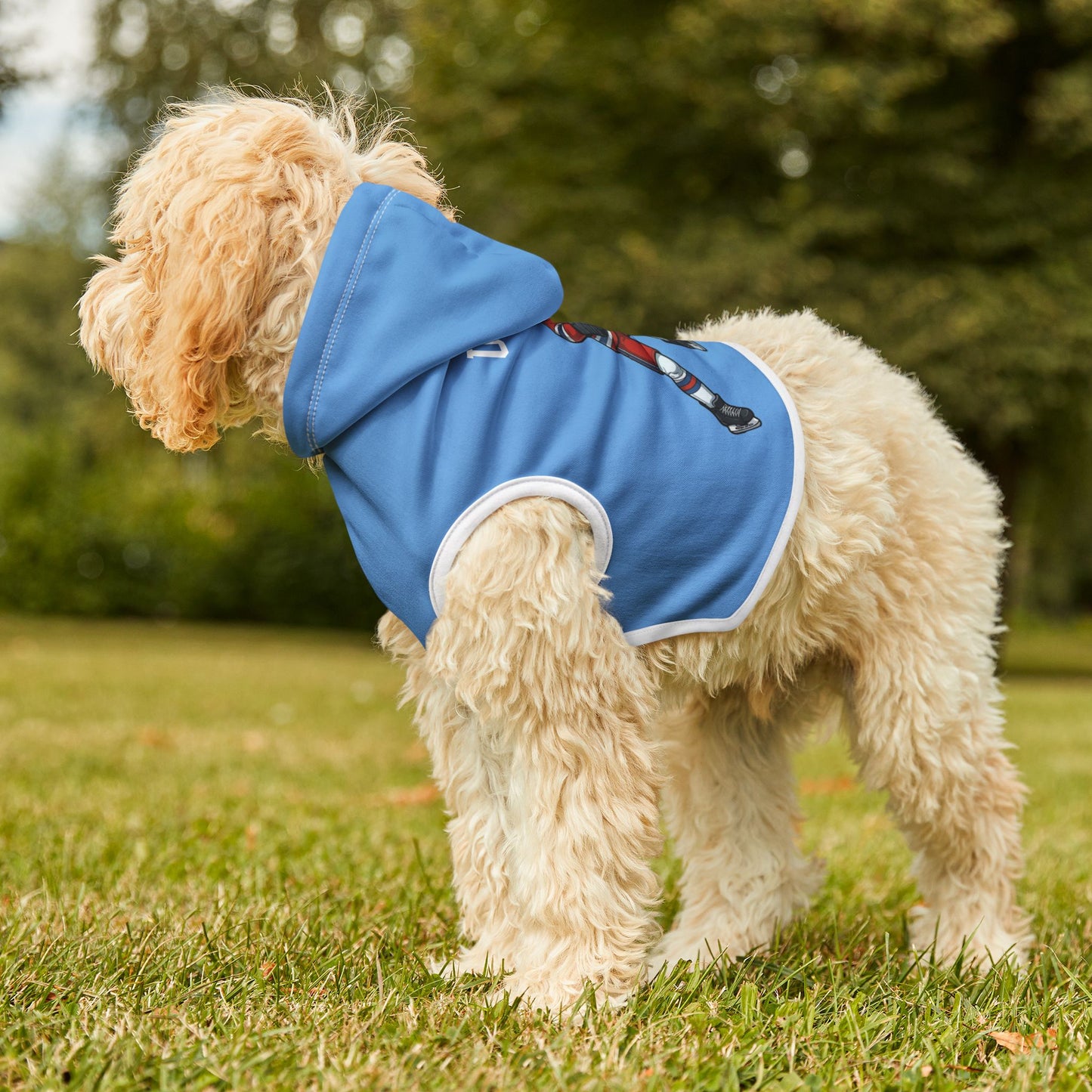 Princess Grace TEAM USA Pet Hoodie
