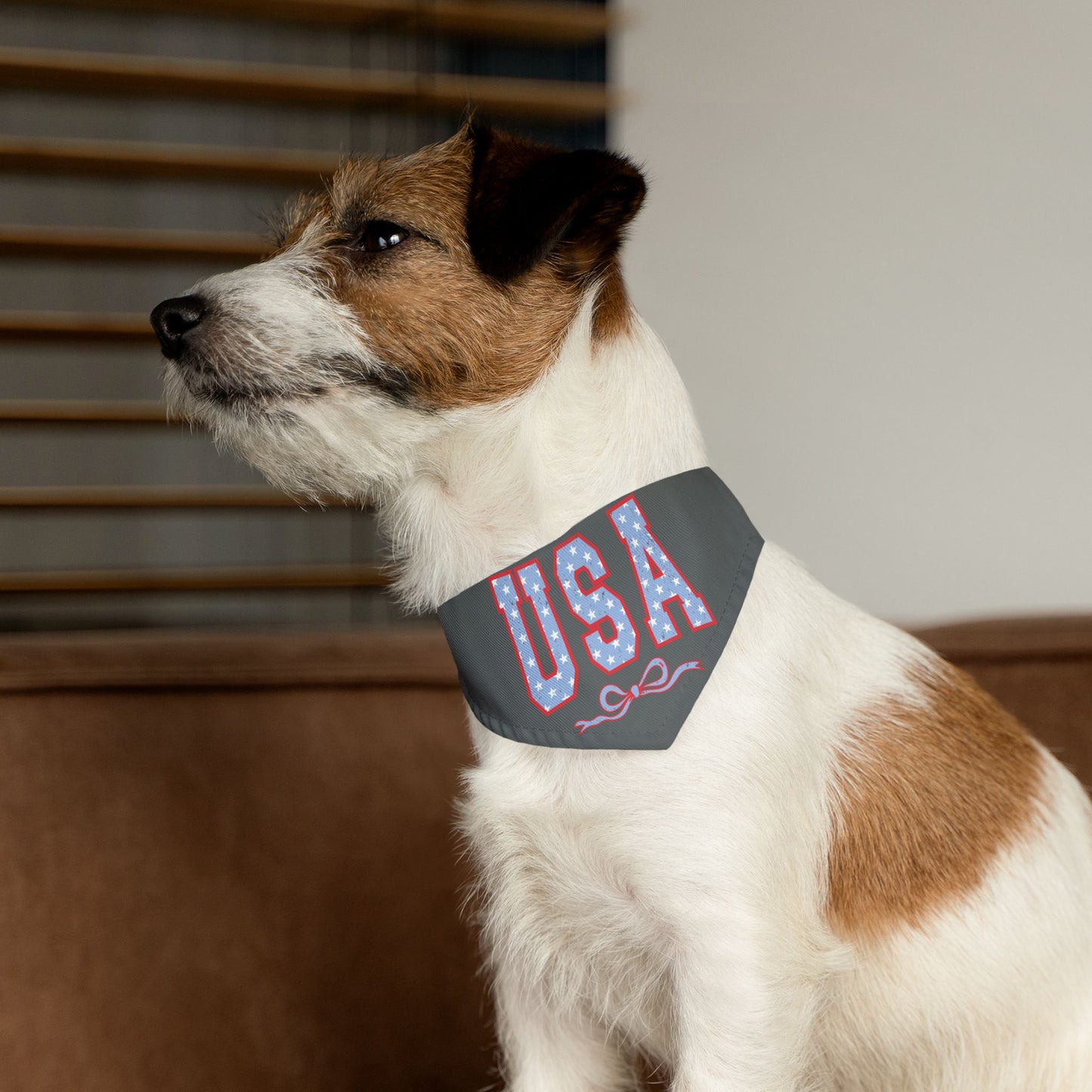 Princess Grace USA Pet Bandana Collar for Dogs Americana Style
