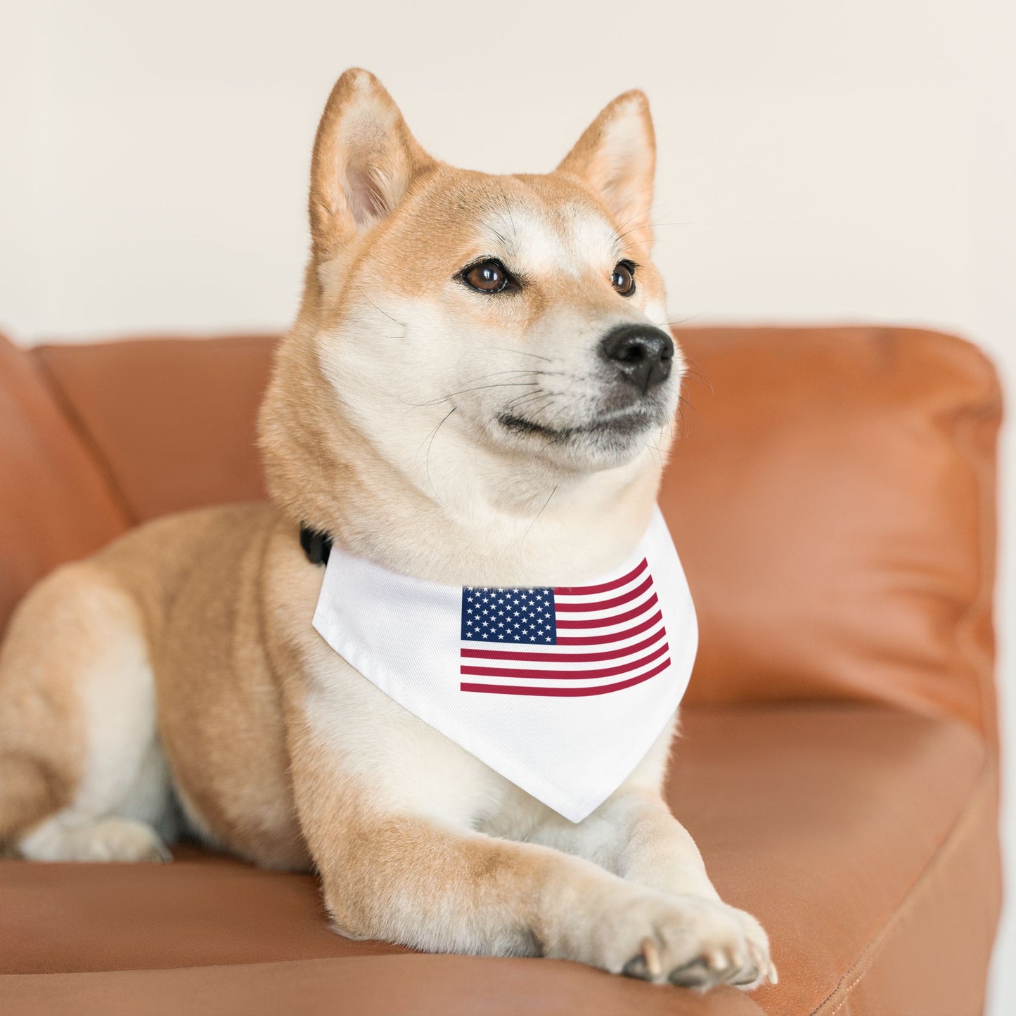 Princess Grace Patriotic Pet Bandana Collar USA Flag Design for Dogs