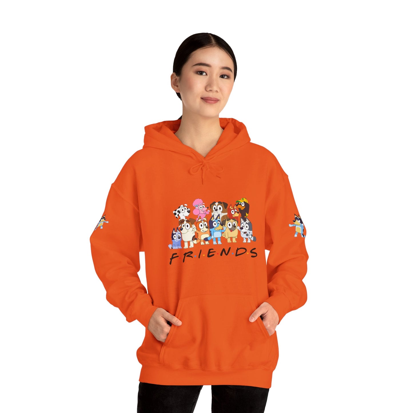 Princess Grace Bluey Unisex Heavy Blend Hooded Sweatshirt 'Friends' Cartoon Design