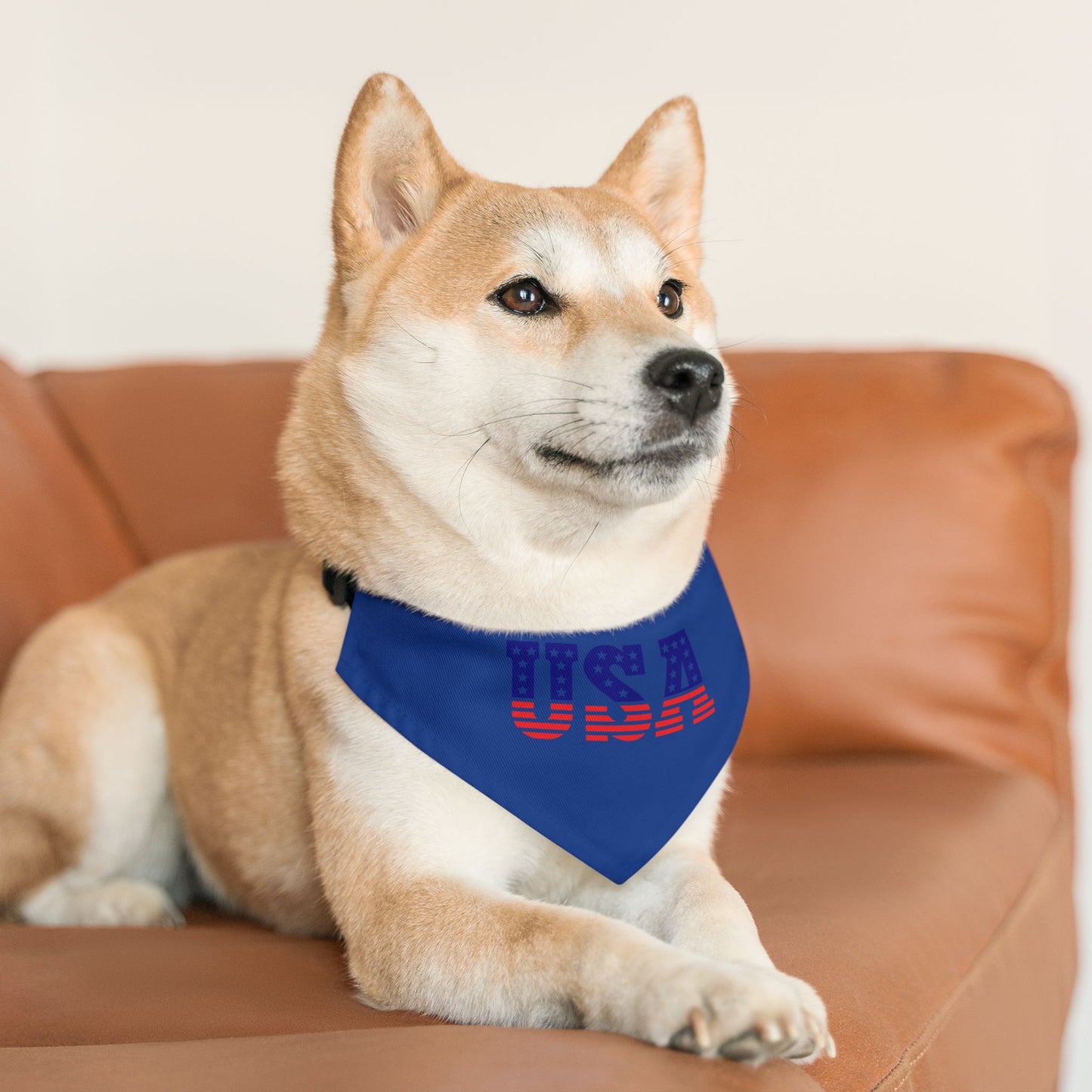 Princess Grace Patriotic Pet Bandana Collar USA Design for Dogs