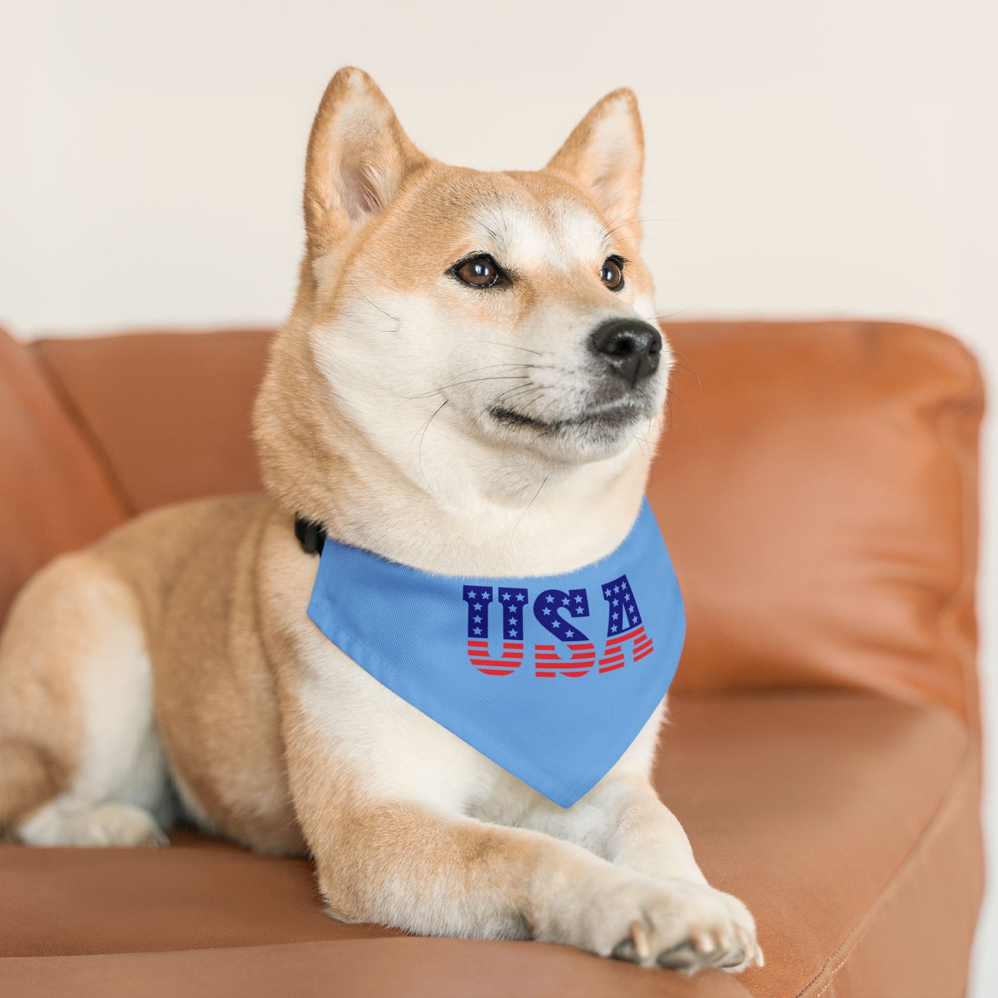 Princess Grace Patriotic Pet Bandana Collar USA Flag Design for Dogs