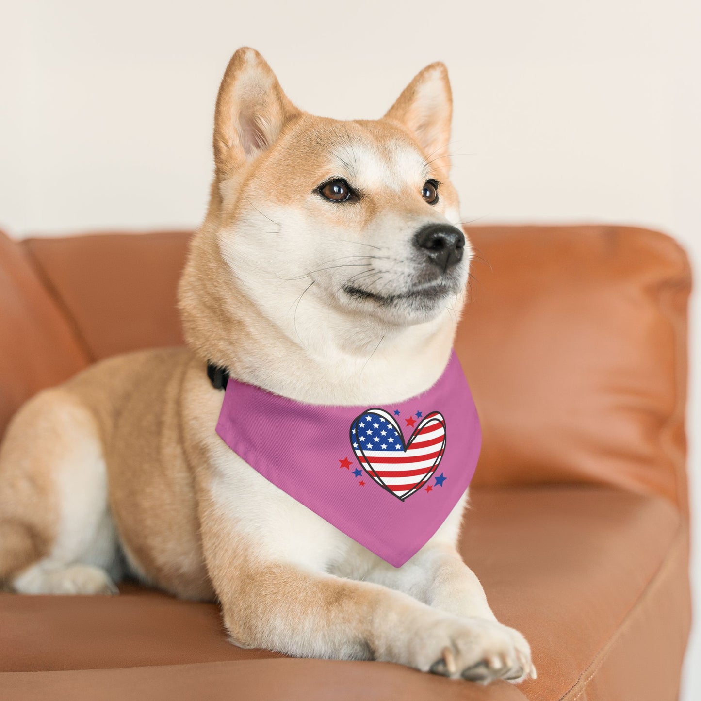 Princess Grace Patriotic Pet Bandana Collar Heart and Stars Design for Dog Lovers