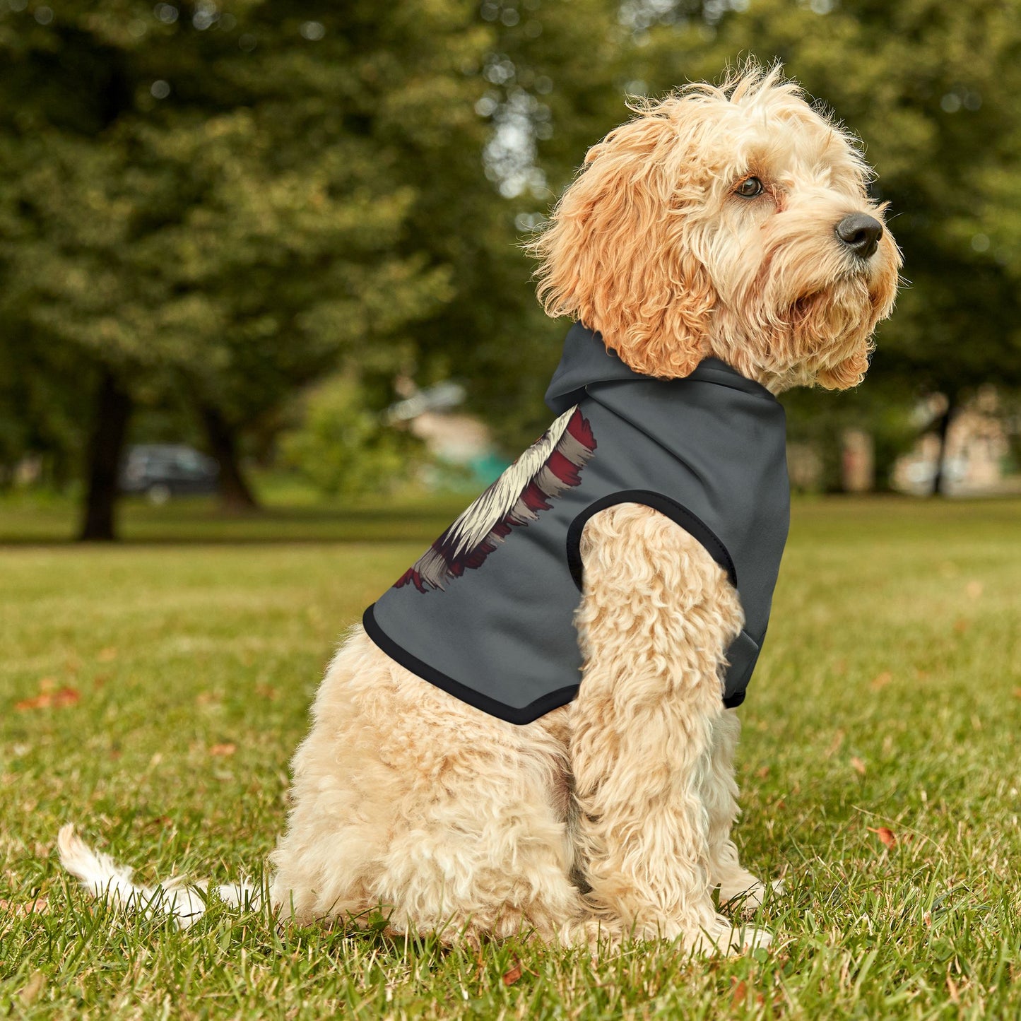 Princess Grace Patriotic Eagle Pet Hoodie for Dogs USA Flag Design