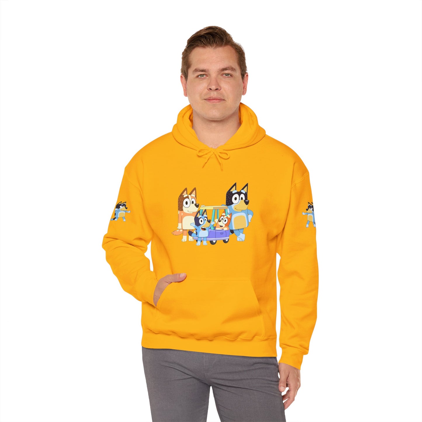 Princess Grace Bluey Fun Family Cartoon Hoodie - Unisex Heavy Blend with Playful Characters