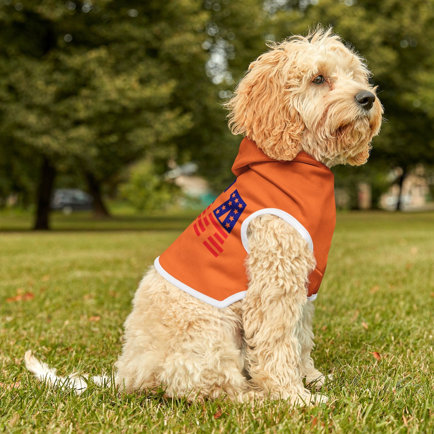 Princess Grace USA Flag Pet Hoodie Stylish & Cozy Apparel for Dogs