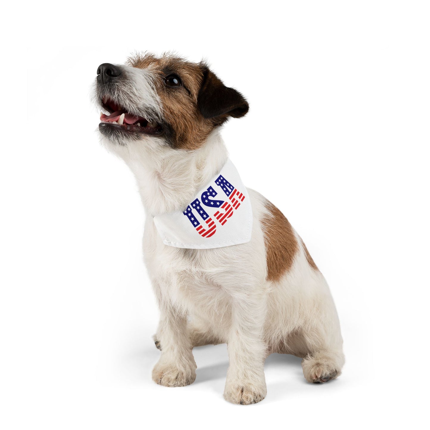 Princess Grace USA Flag Pet Bandana Collar Patriotic Dog Accessory for Celebrations