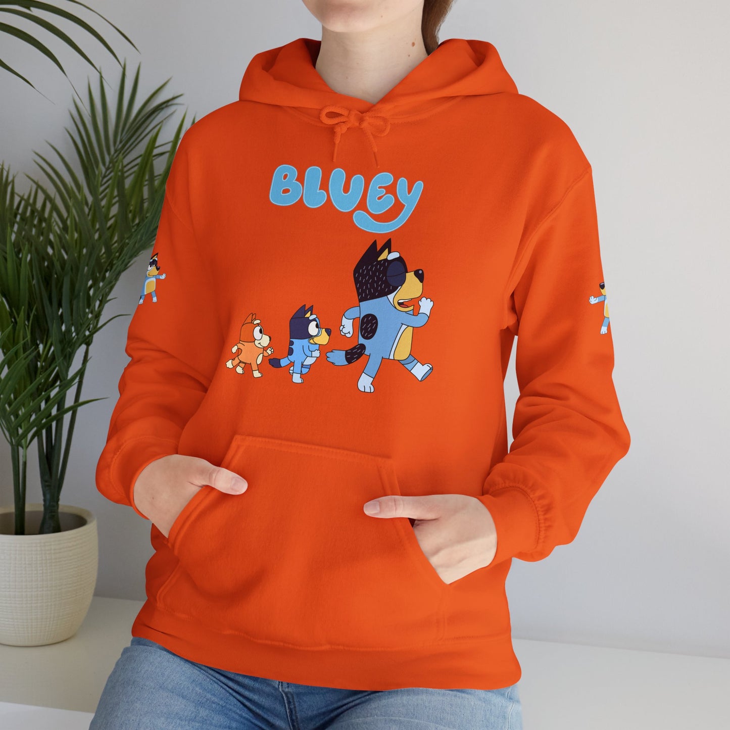 Princess Grace Bluey Unisex Hoodie Cozy Cartoon Sweatshirt for Kids & Adults
