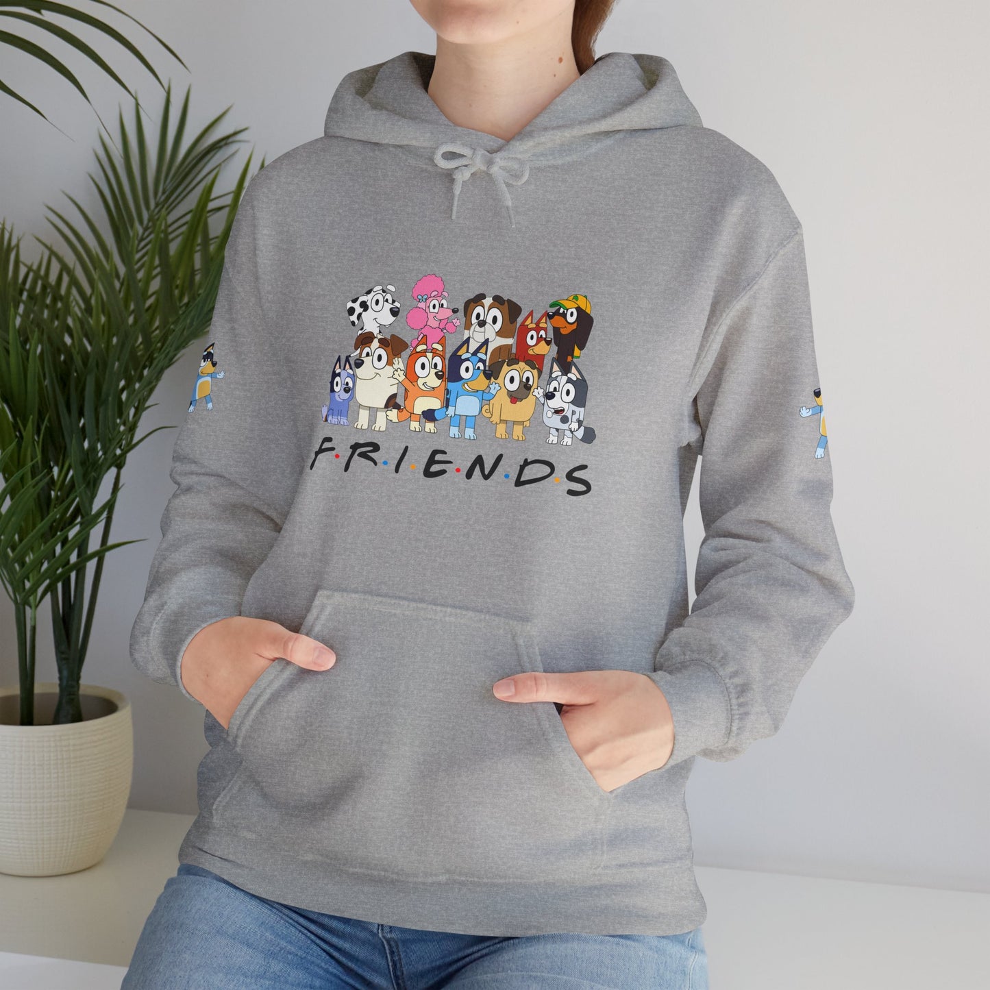 Princess Grace Bluey Unisex Heavy Blend Hooded Sweatshirt 'Friends' Cartoon Design