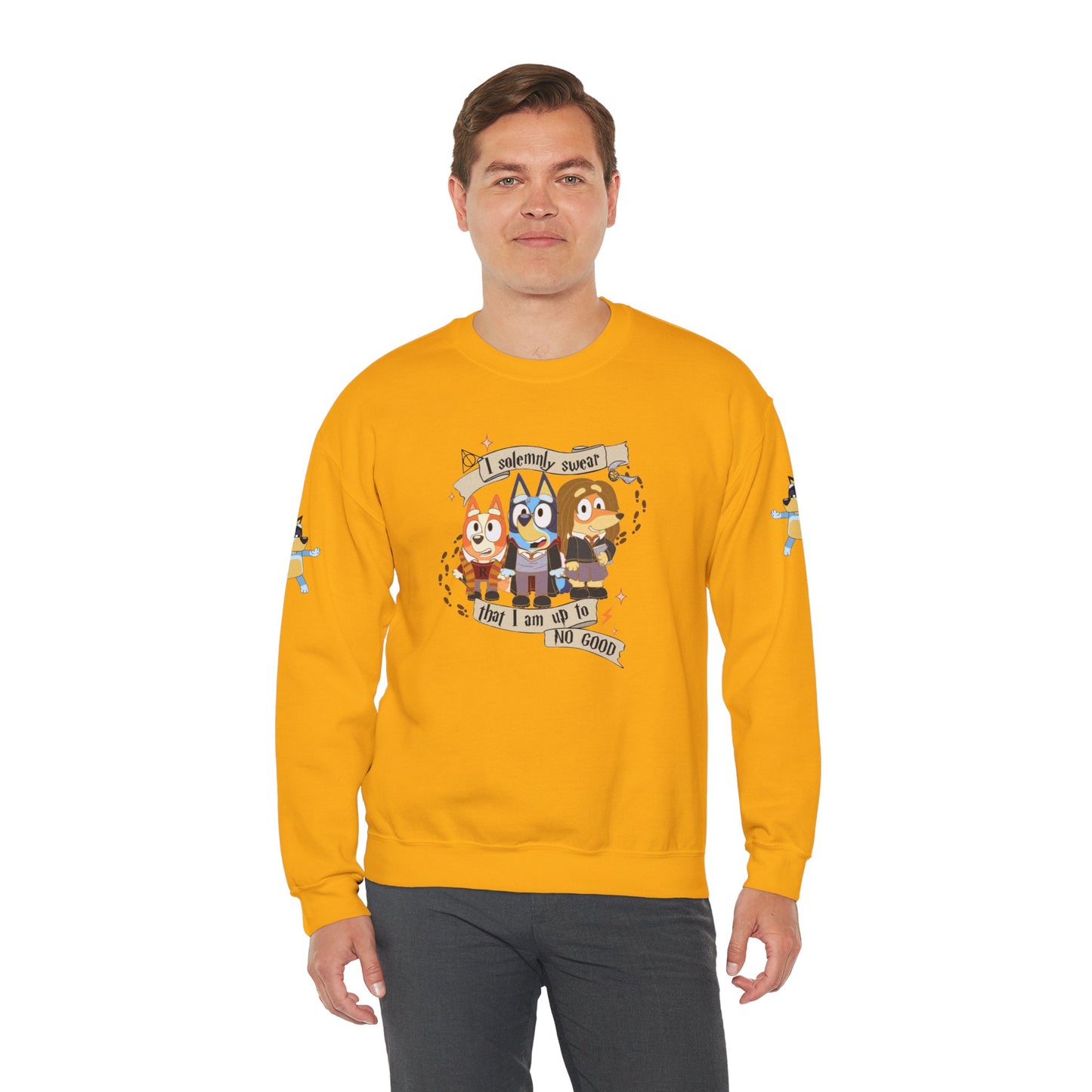 Princess Grace Bluey Unisex Funny Crewneck Sweatshirt "I Solemnly Swear That I Am Up To No Good" Perfect Gift for Family and Friends