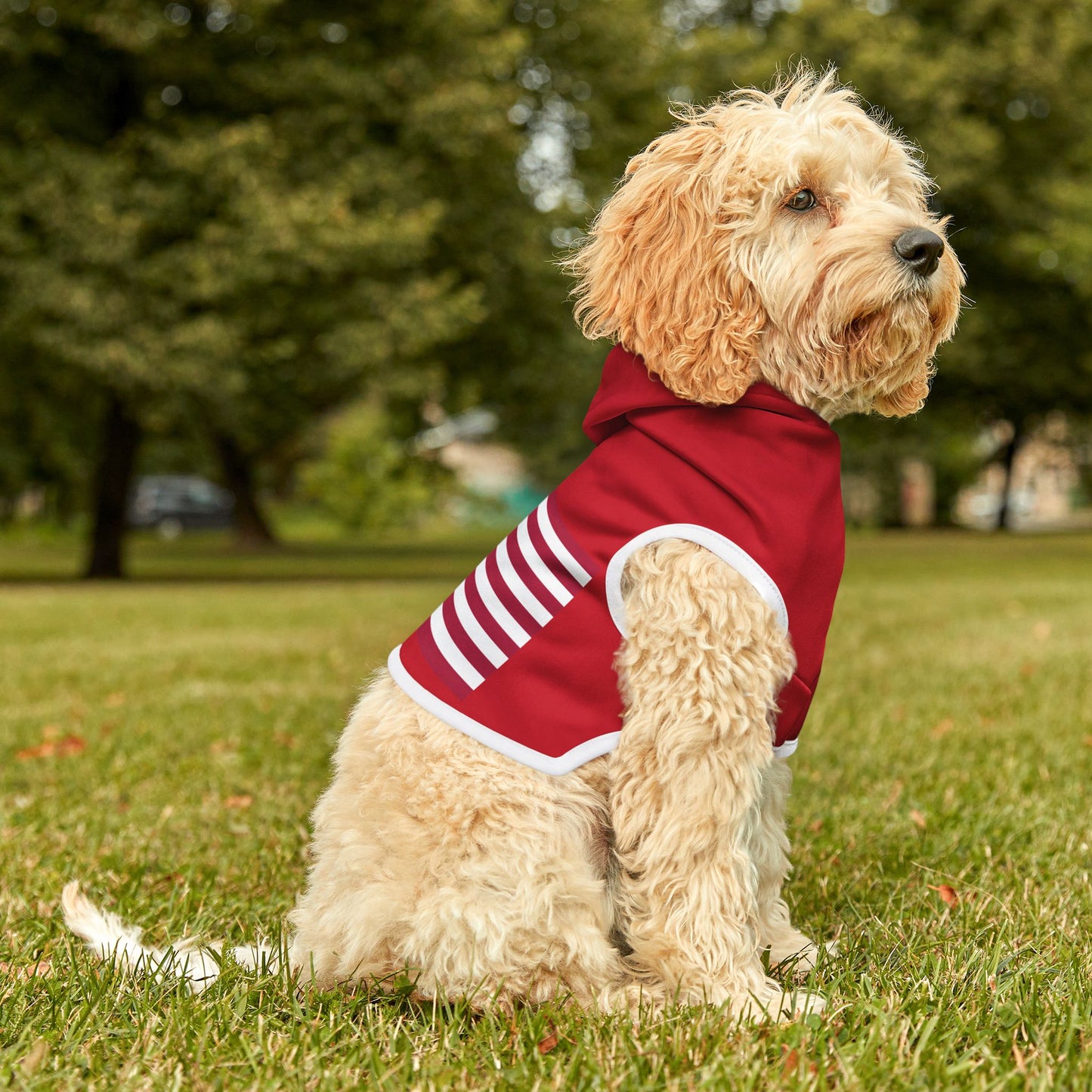 Princess Grace Patriotic Red Pet Hoodie with Flag Design