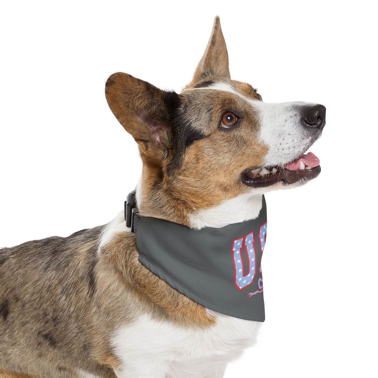 Princess Grace USA Pet Bandana Collar for Dogs Americana Style