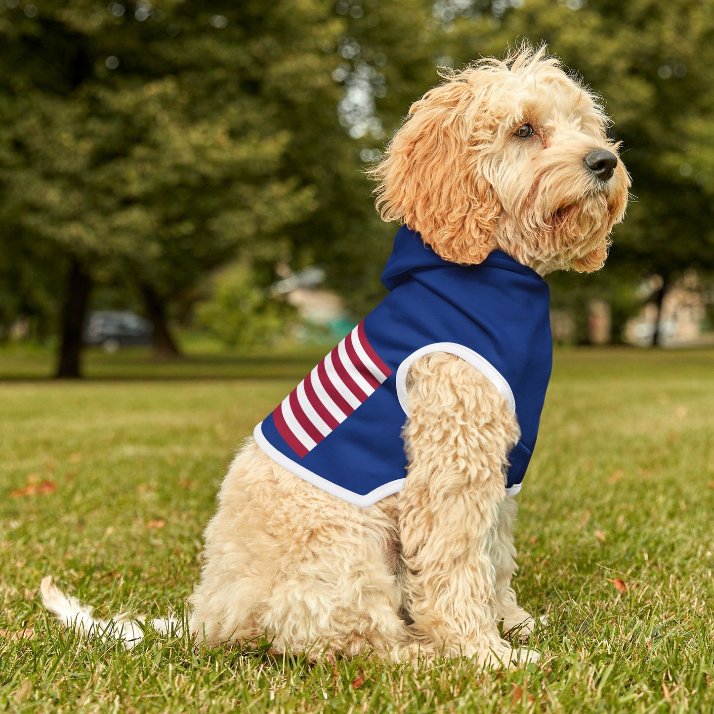 Princess Grace Patriotic Pet Hoodie with American Flag Design