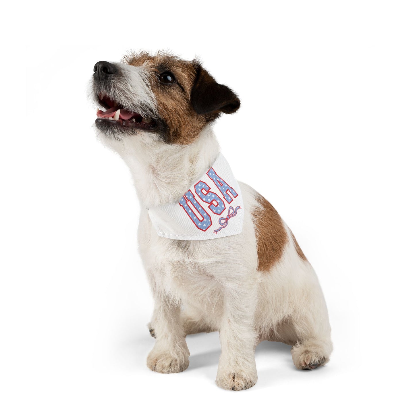 Princess Grace USA Patriotic Pet Bandana Collar for Dogs