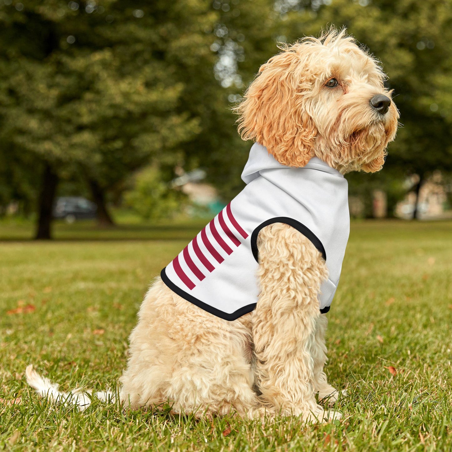 Princess Grace Patriotic Pet Hoodie Americana Style for Dogs
