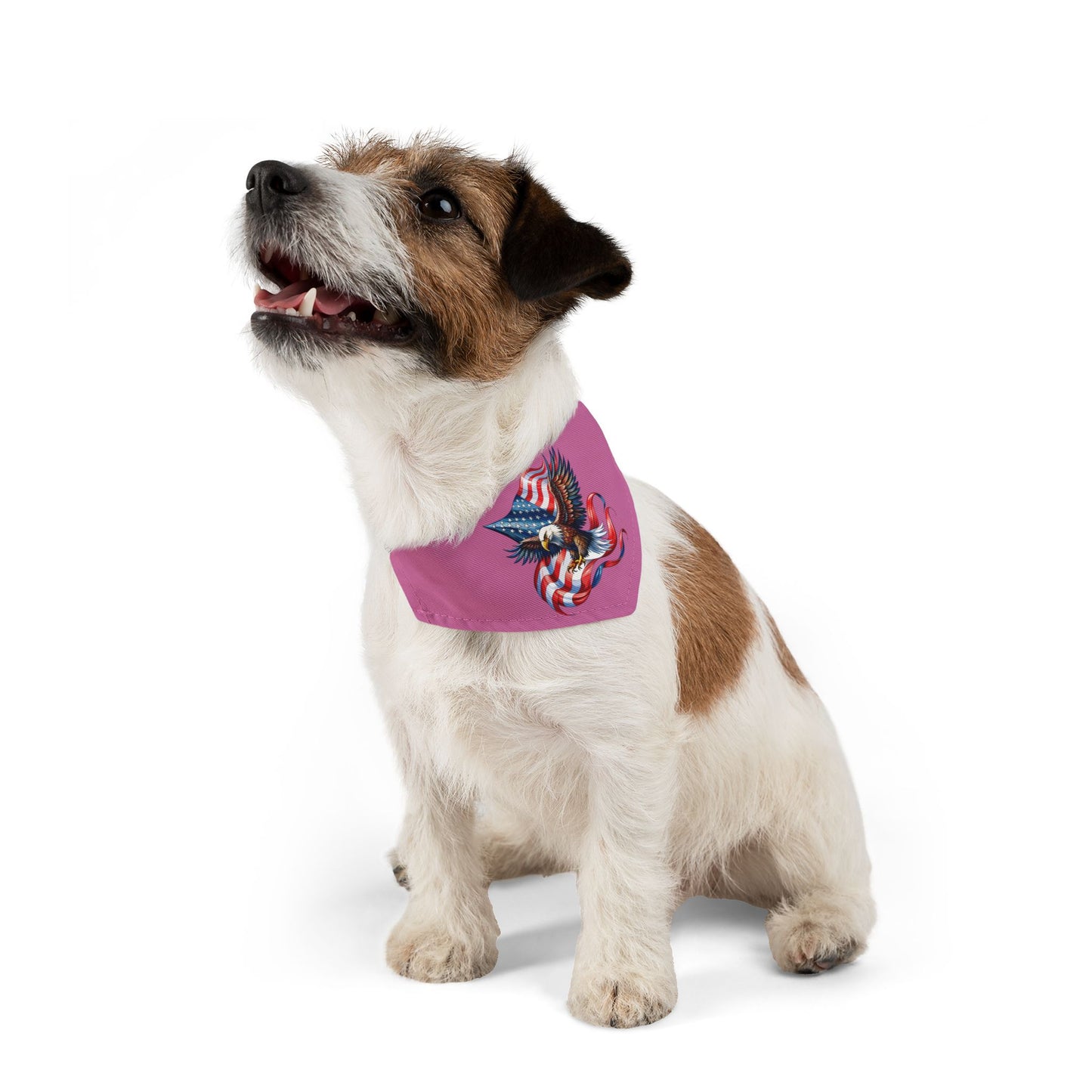 Princess Grace Patriotic Eagle Pet Bandana Collar Perfect for Independence Day & Summer Celebrations