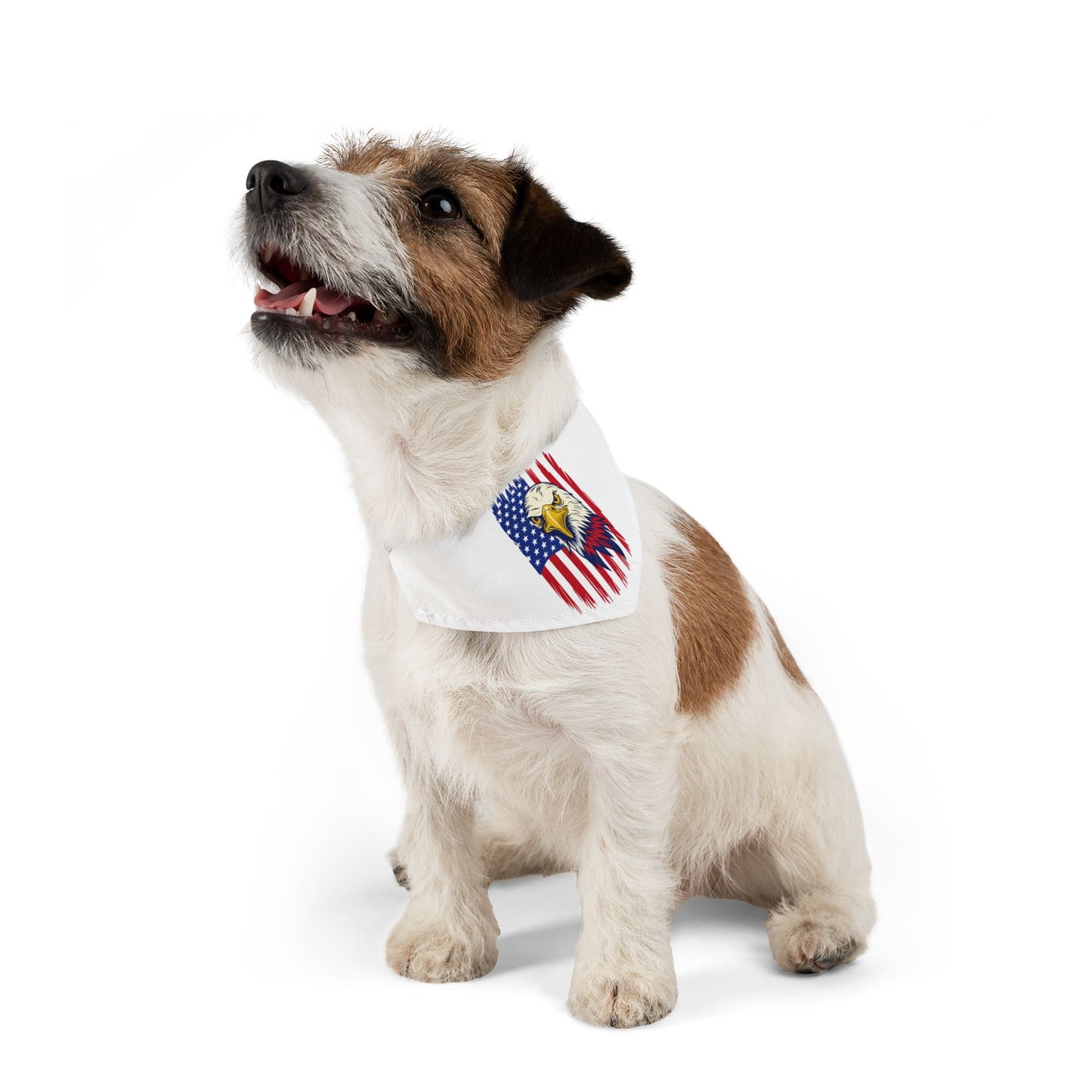 Princess Grace Patriotic Pet Bandana Collar American Eagle Design