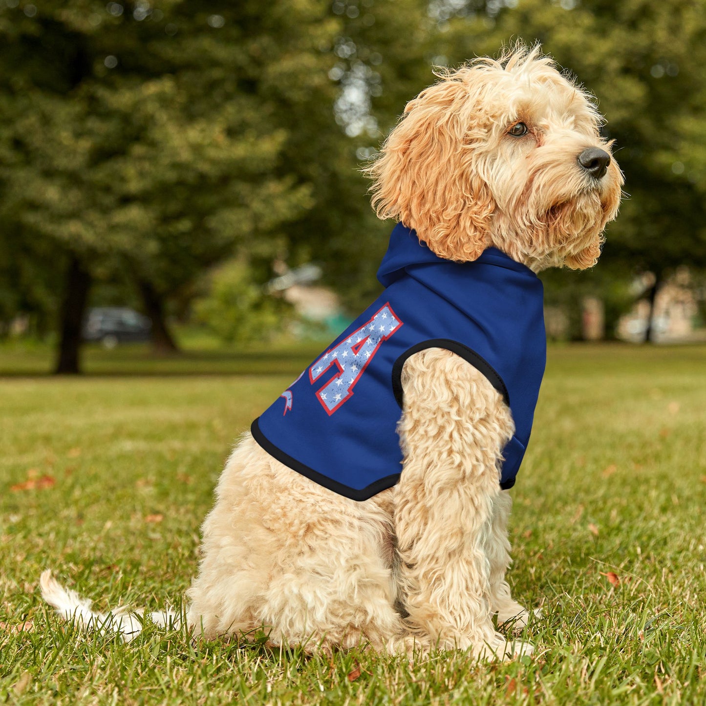 Princess Grace USA Themed Pet Hoodie Perfect for Celebrations and Patriotic Occasions