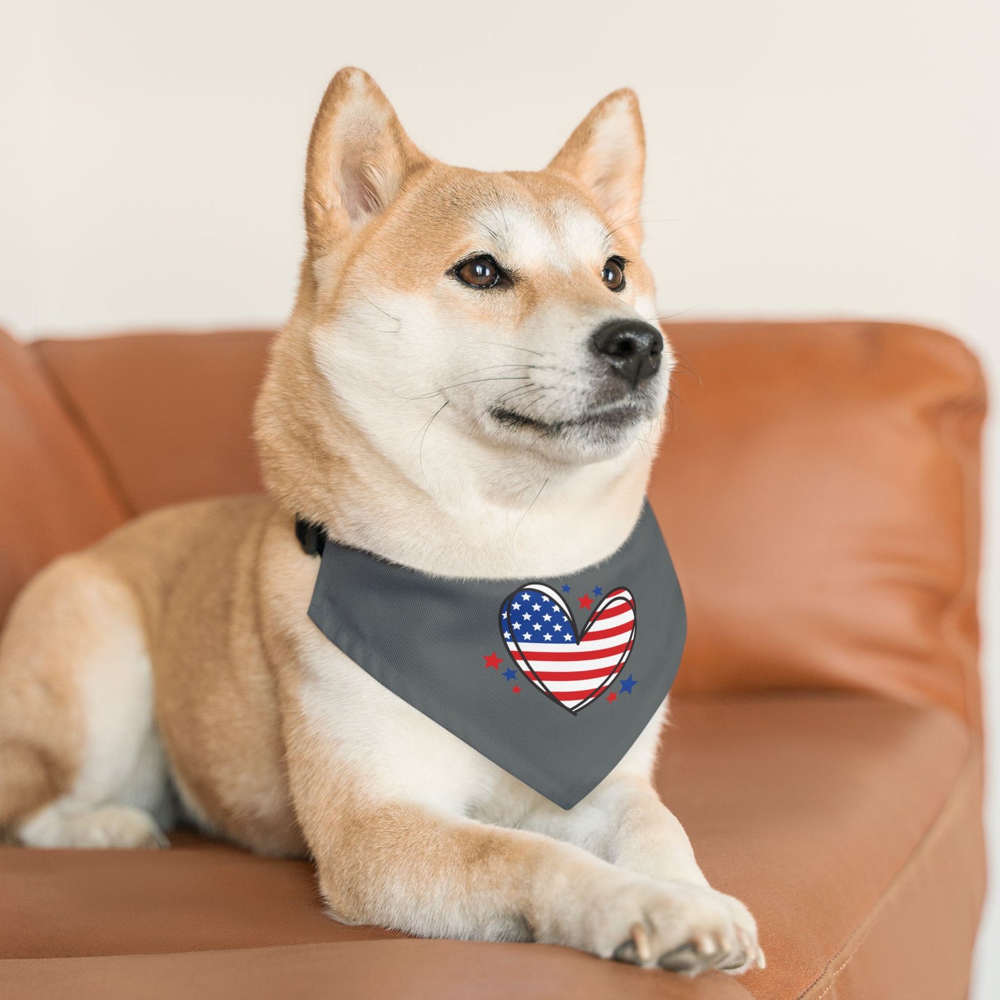 Princess Grace Patriotic Pet Bandana Collar Heart Design for Dogs