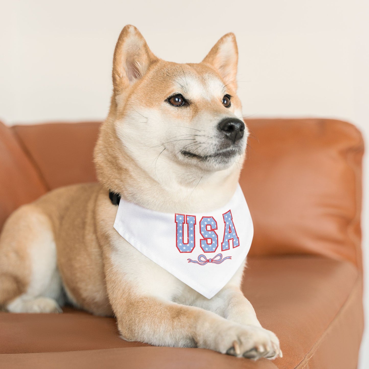 Princess Grace USA Patriotic Pet Bandana Collar for Dogs
