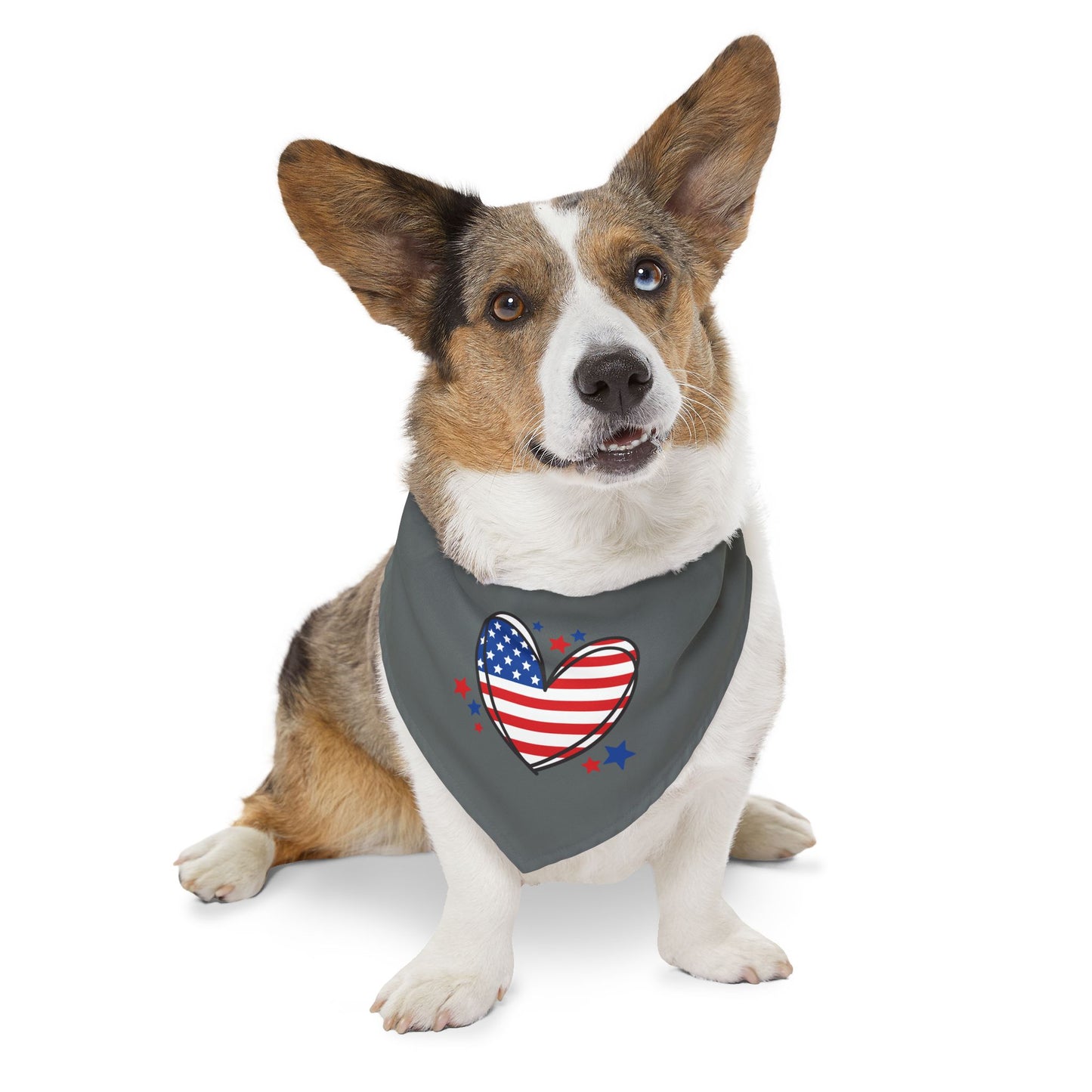 Princess Grace Patriotic Pet Bandana Collar Heart Design for Dogs
