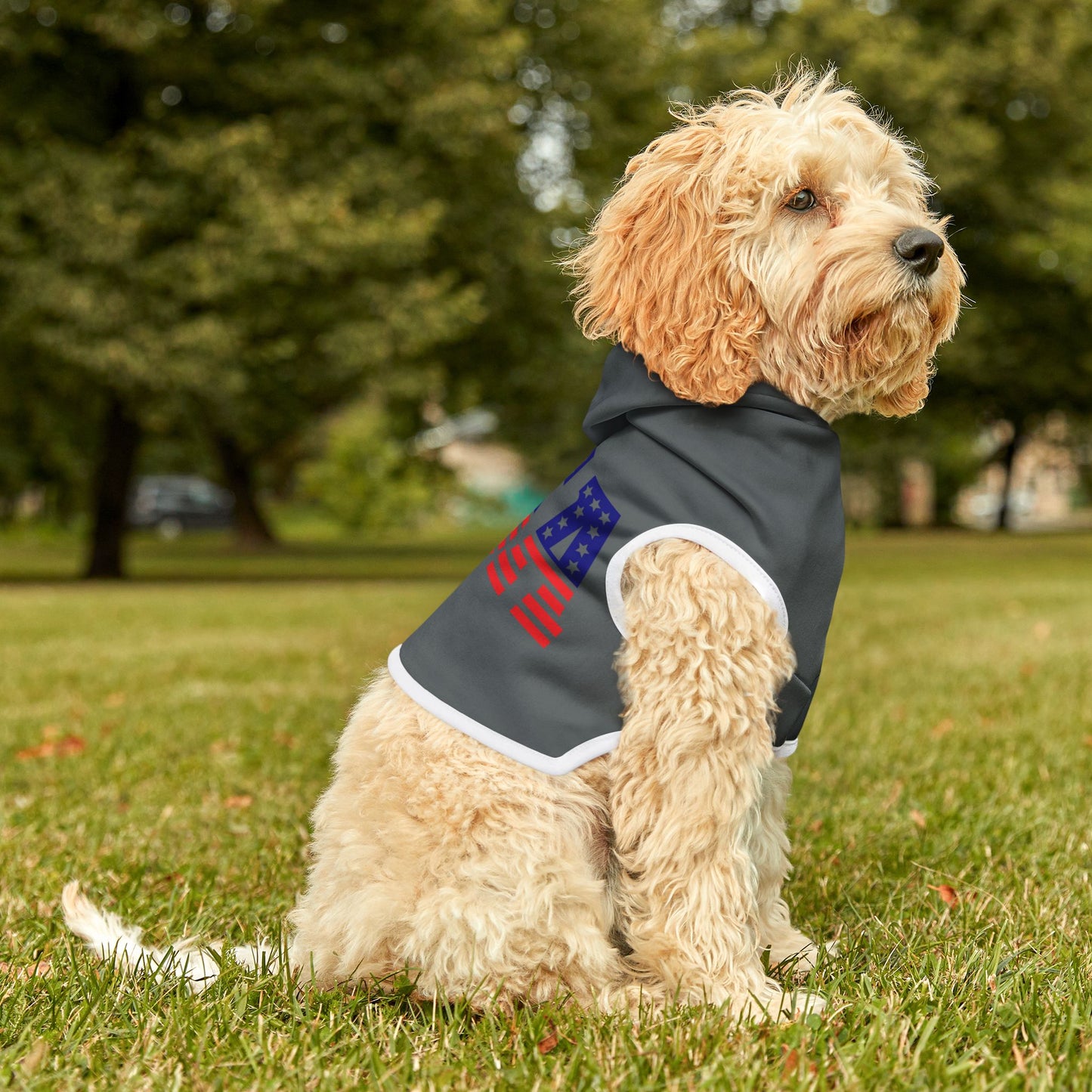 Princess Grace USA Flag Pet Hoodie Stylish and Cozy Dog Apparel for Patriotic Pets