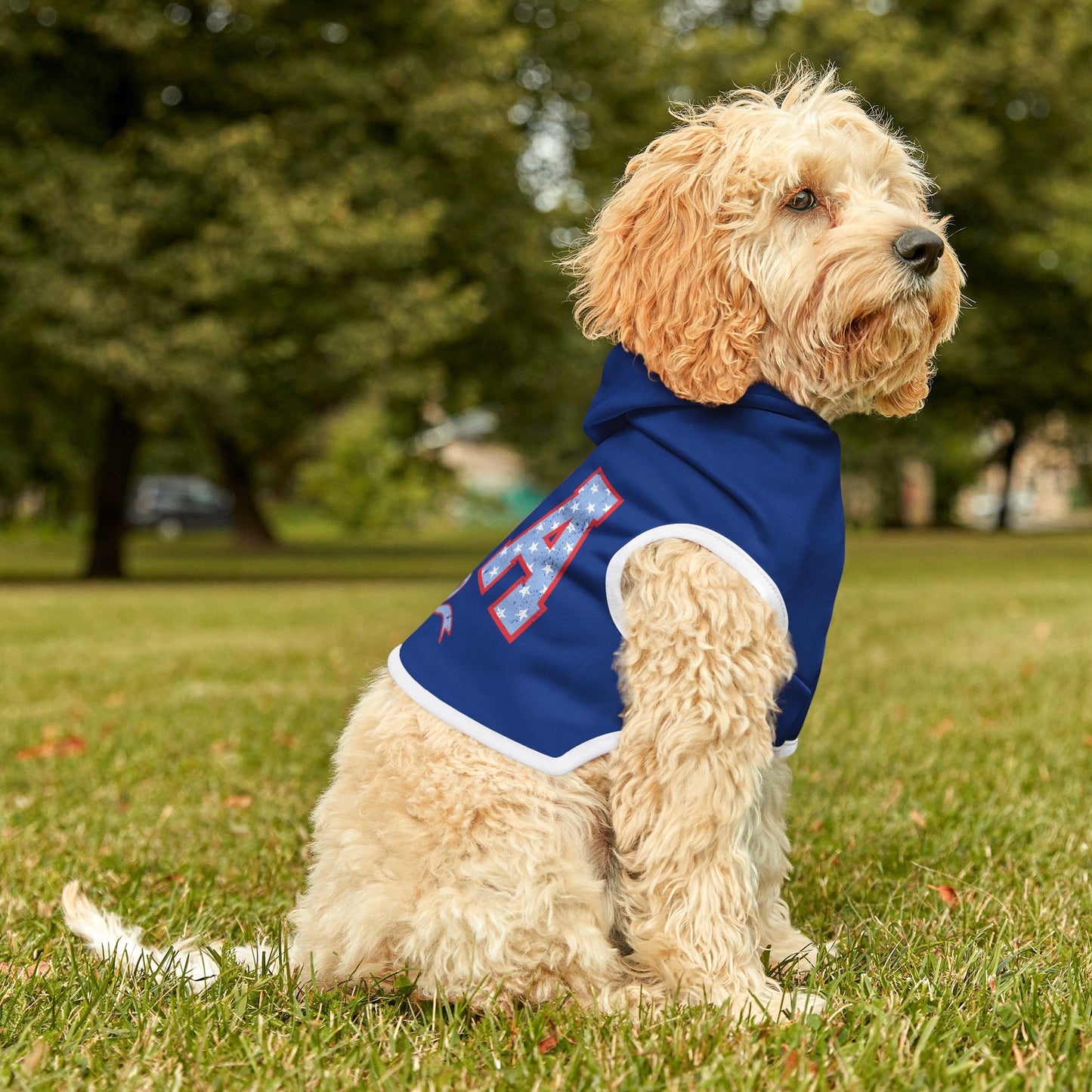 Princess Grace USA Themed Pet Hoodie Perfect for Celebrations and Patriotic Occasions