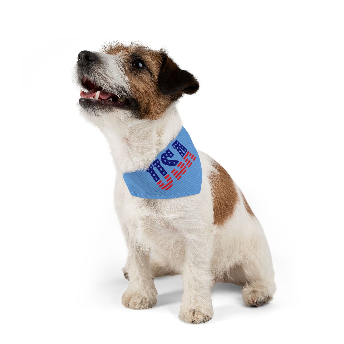 Princess Grace Patriotic Pet Bandana Collar USA Flag Design for Dogs