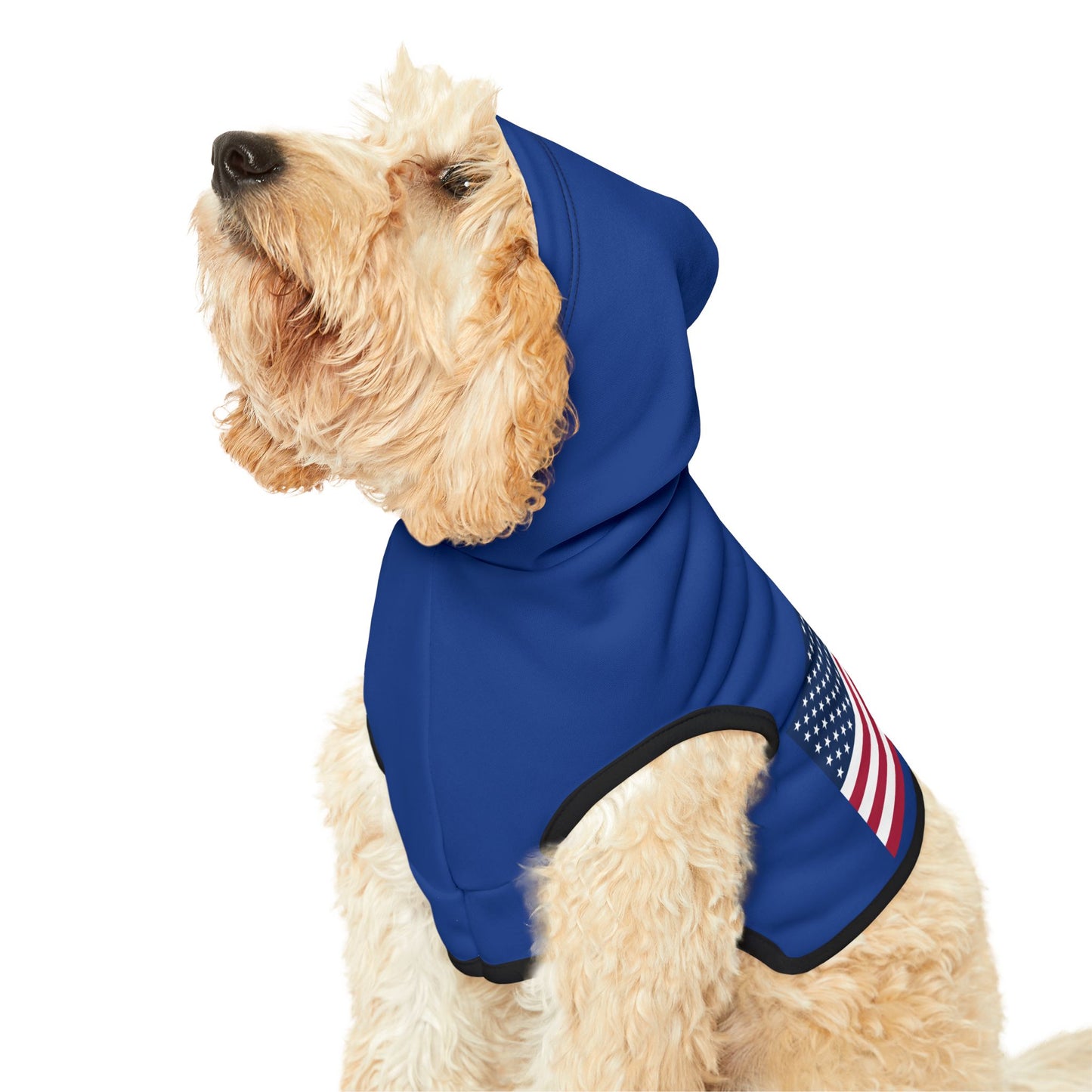 Princess Grace Patriotic Pet Hoodie with American Flag Design
