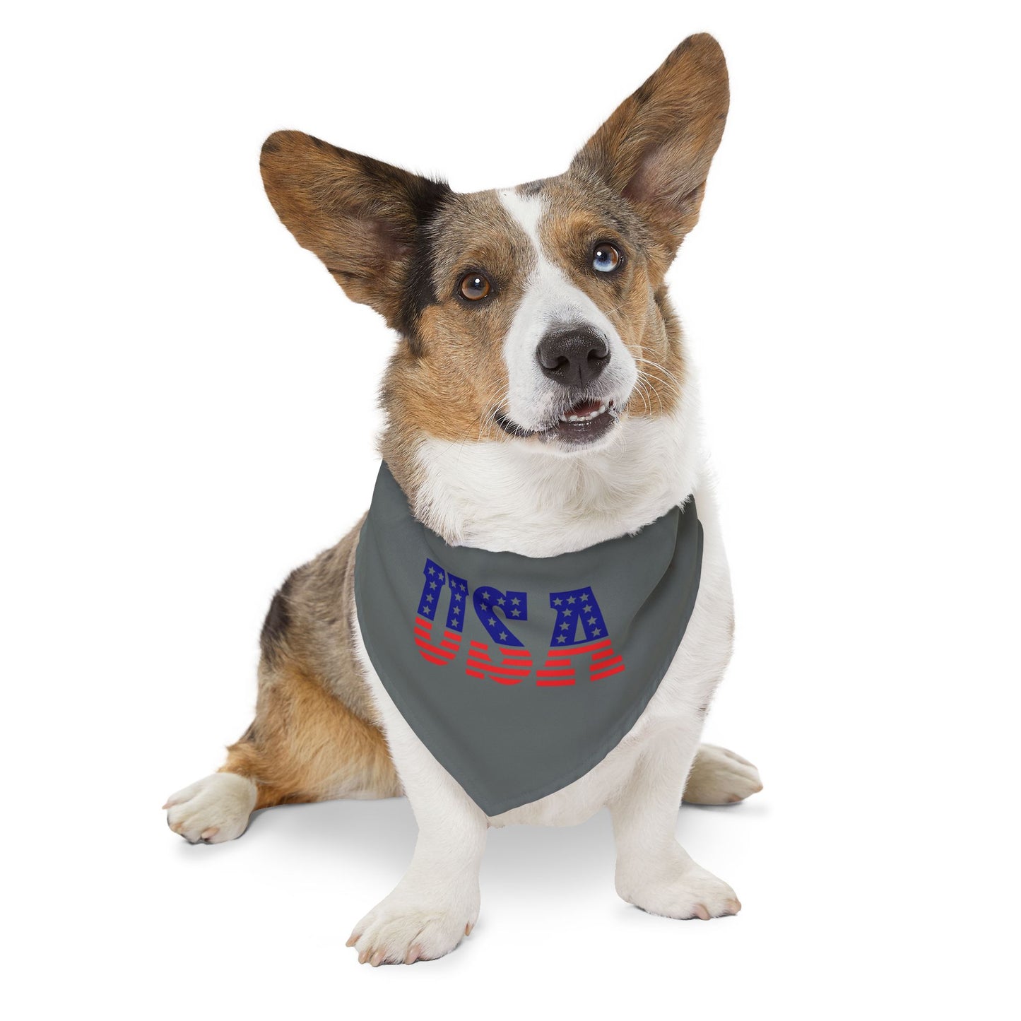 Princess Grace Patriotic Dog Bandana Collar USA Flag Design
