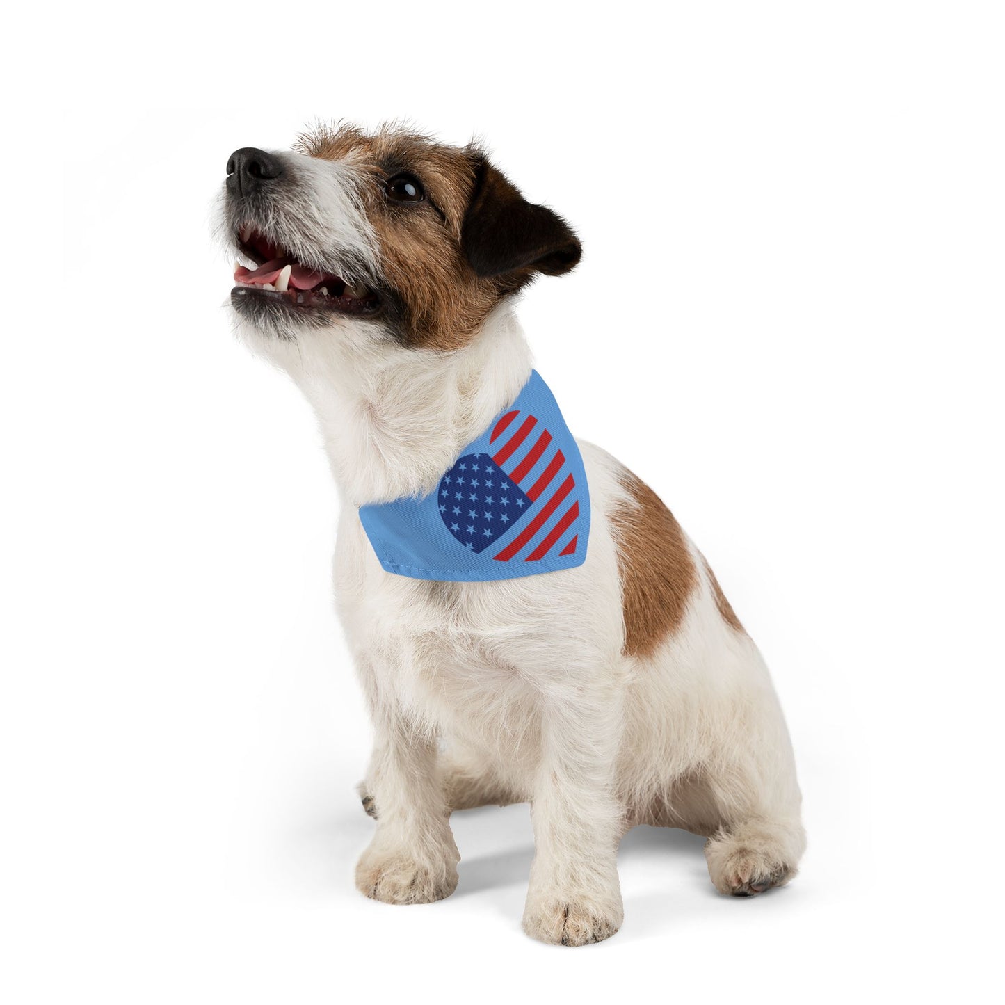 Princess Grace Patriotic Pet Bandana Collar USA Heart Design for Dogs