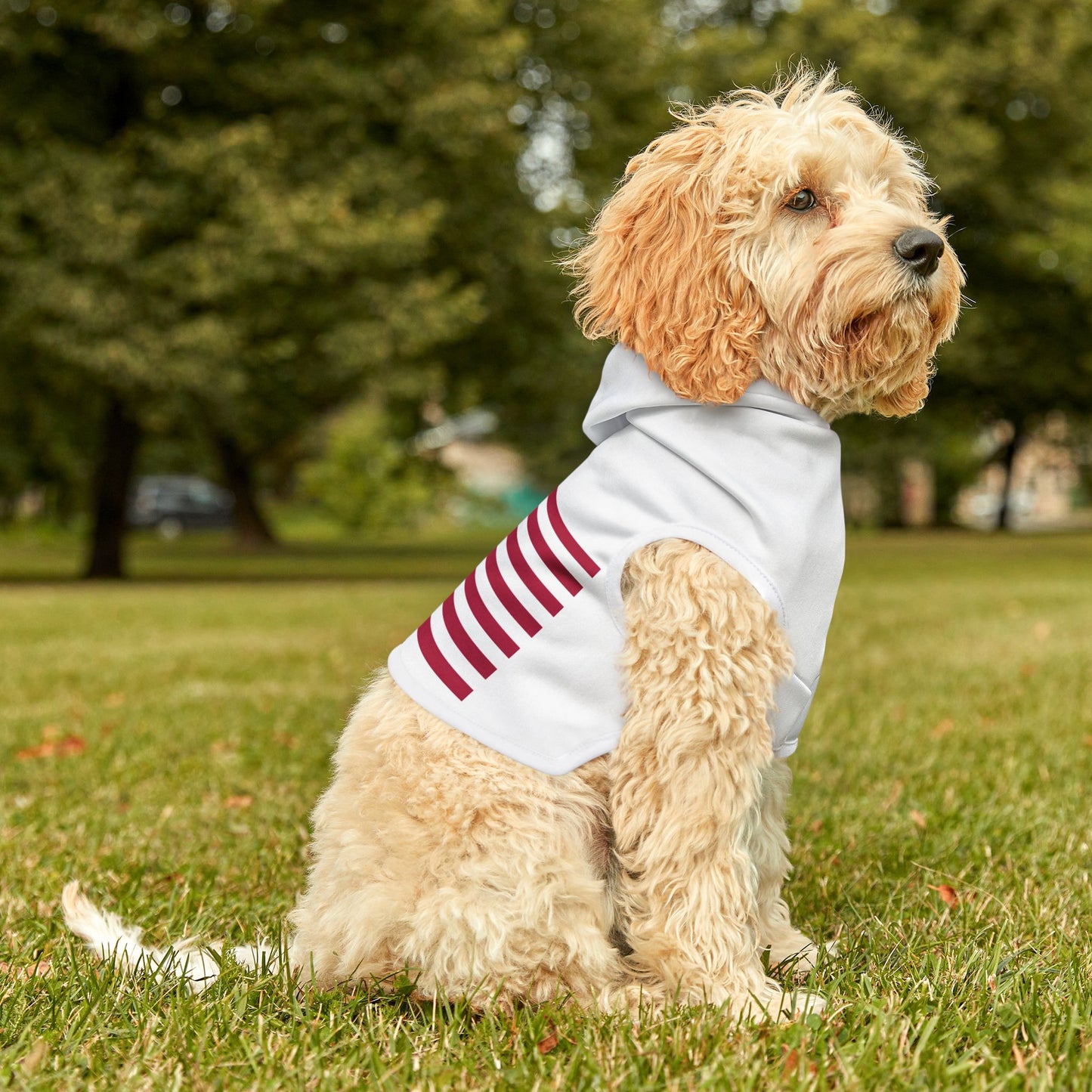 Princess Grace Patriotic Pet Hoodie Americana Style for Dogs
