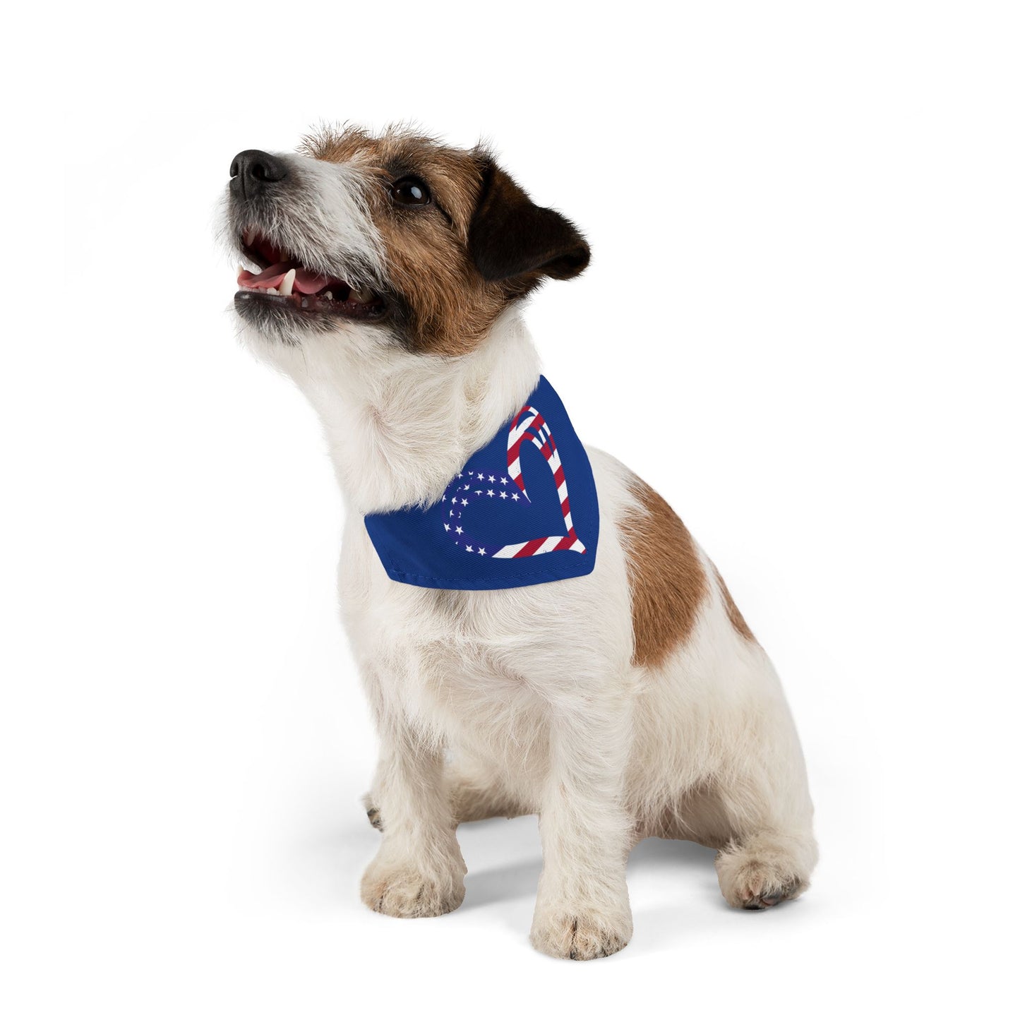 Princess Grace Patriotic Pet Bandana Collar Heart Design for Dogs