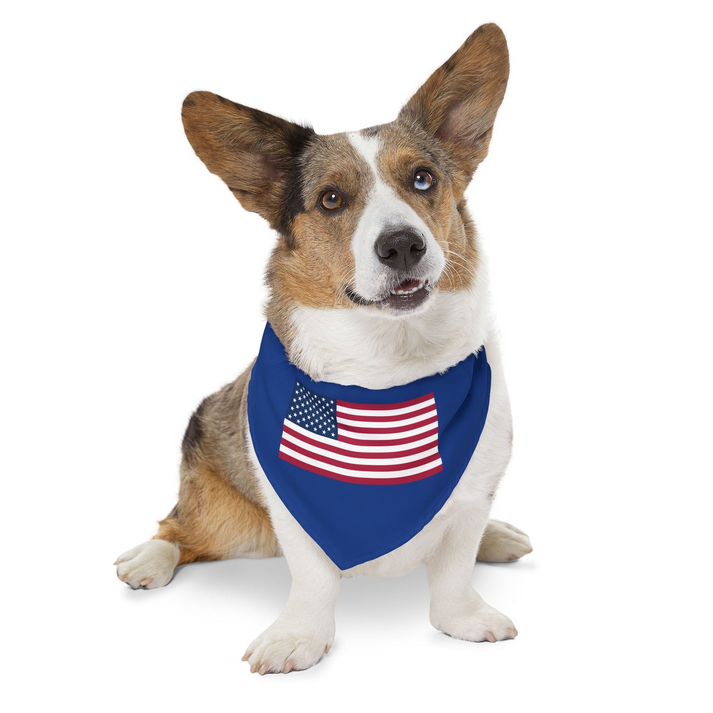 Princess Grace Patriotic Pet Bandana Collar American Flag Design for Dogs