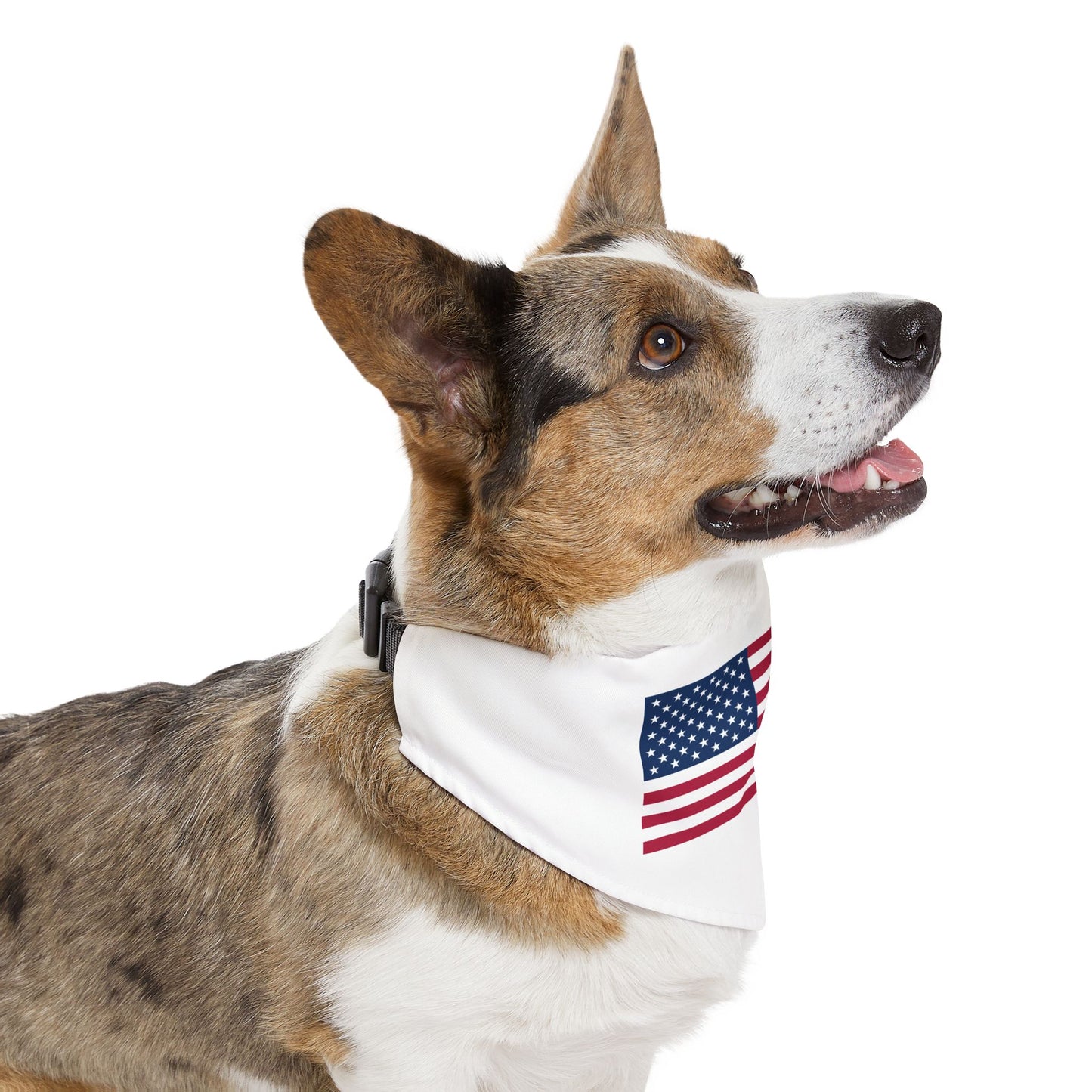 Princess Grace Patriotic Pet Bandana Collar USA Flag Design for Dogs