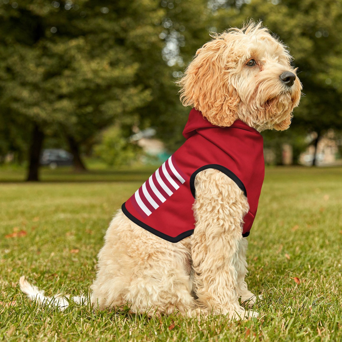 Princess Grace Patriotic Red Pet Hoodie with Flag Design