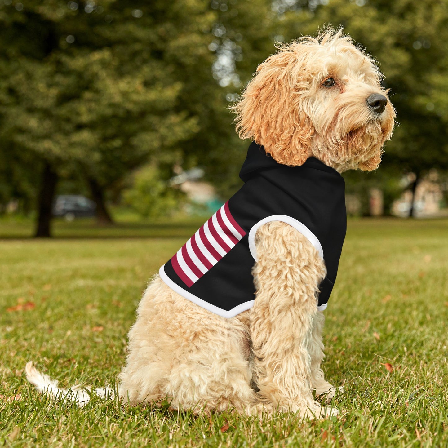 Princess Grace Patriotic Pet Hoodie American Flag Design for Stylish Pups