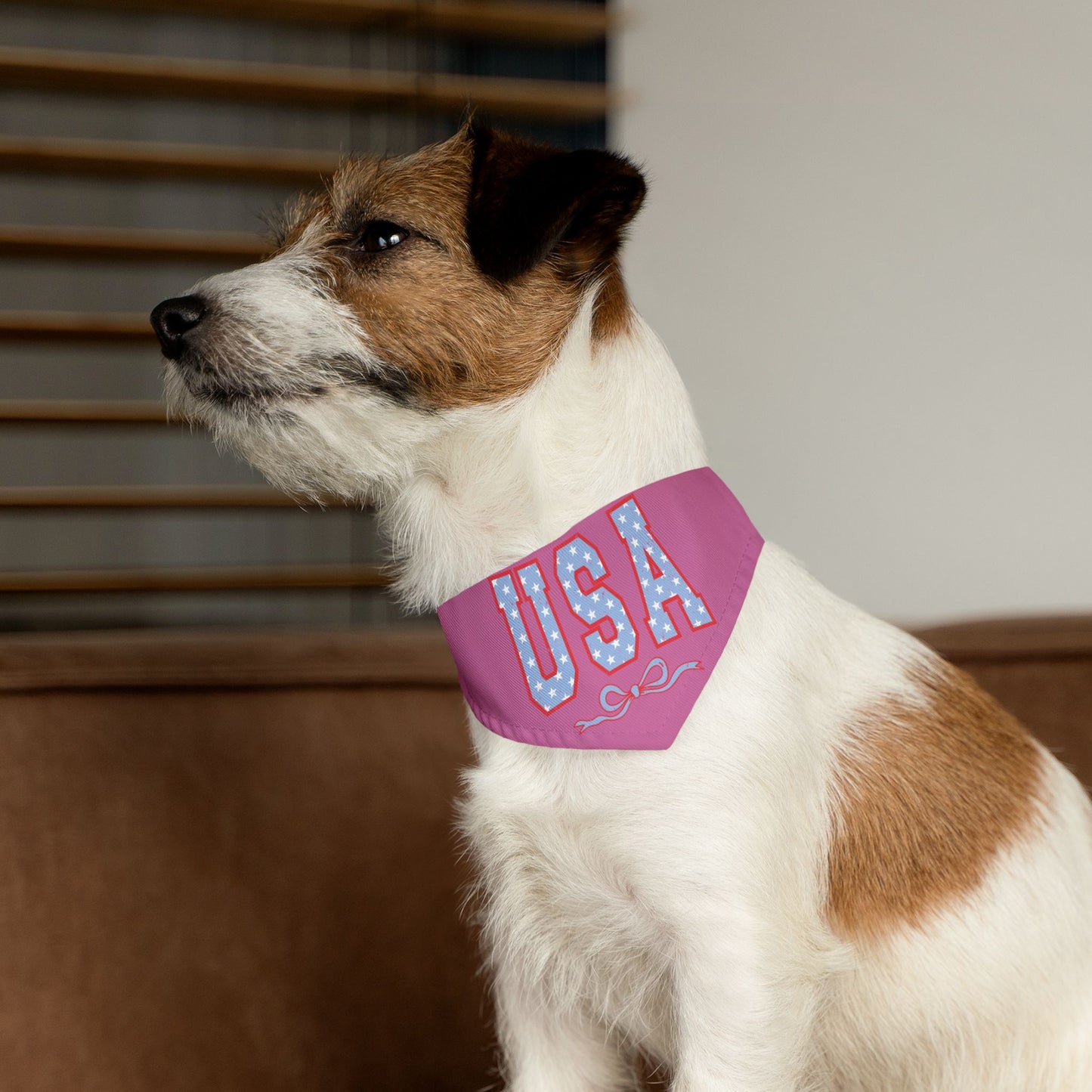 Princess Grace USA Pet Bandana Collar for Dogs Patriotic Dog Accessories