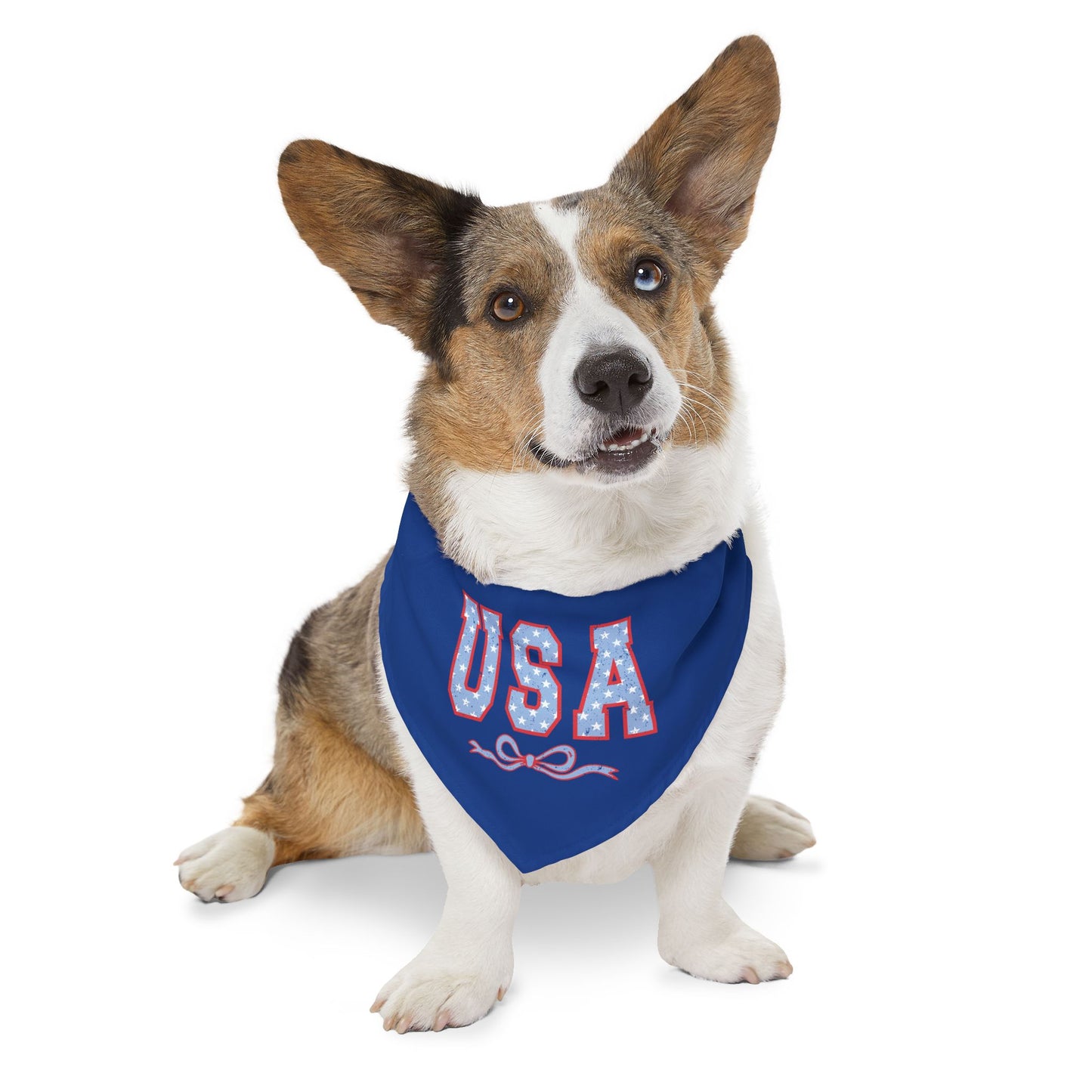Princess Grace USA Patriotic Pet Bandana Collar for Dogs Perfect for Holidays and Celebrations