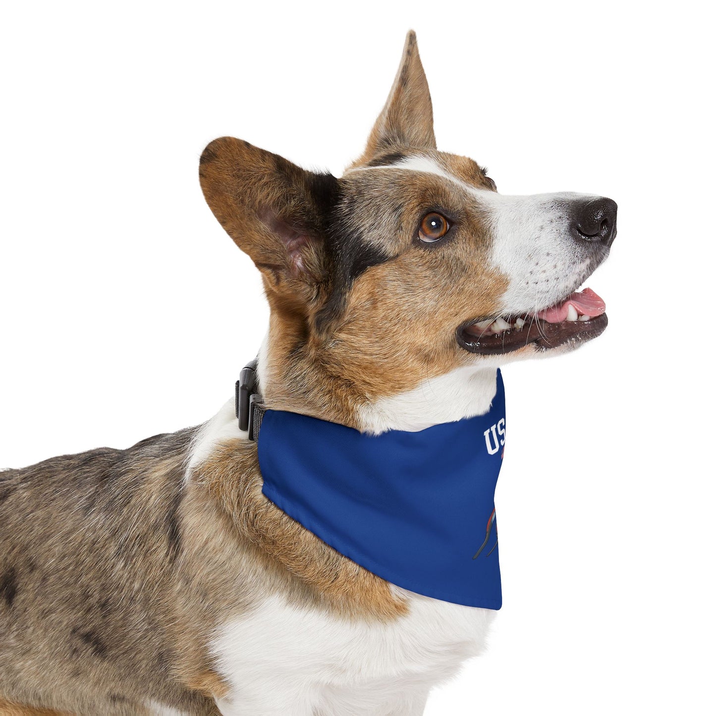 Princess Grace TEAM USA Pet Bandana Collar
