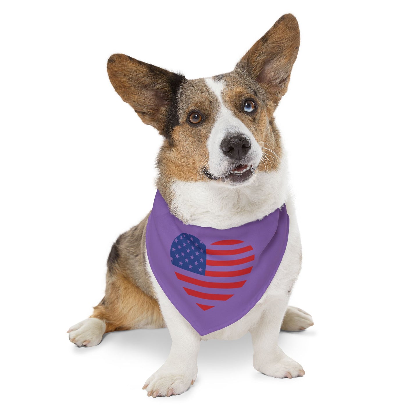 Princess Grace Patriotic Pet Bandana Collar American Heart Design for Dogs