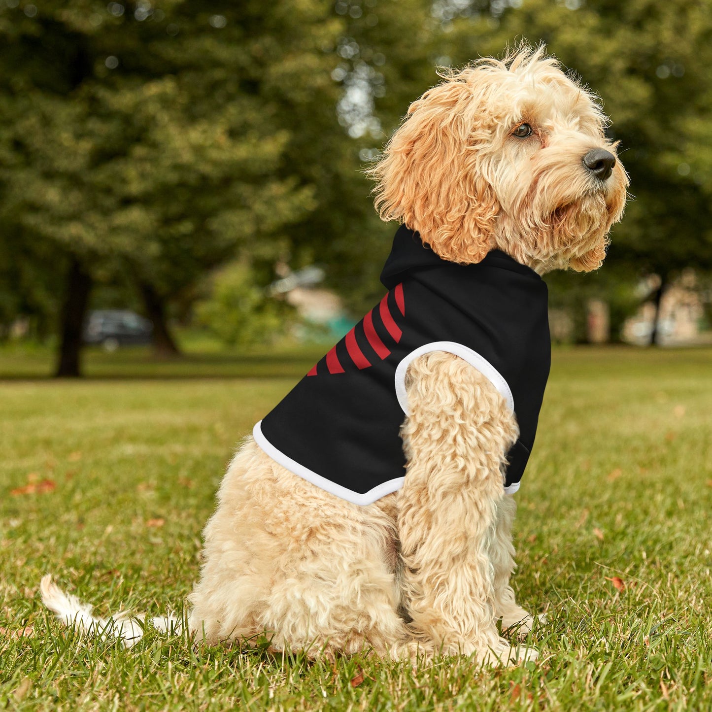 Princess Grace Patriotic Pet Hoodie American Heart Design for Dogs and Cats