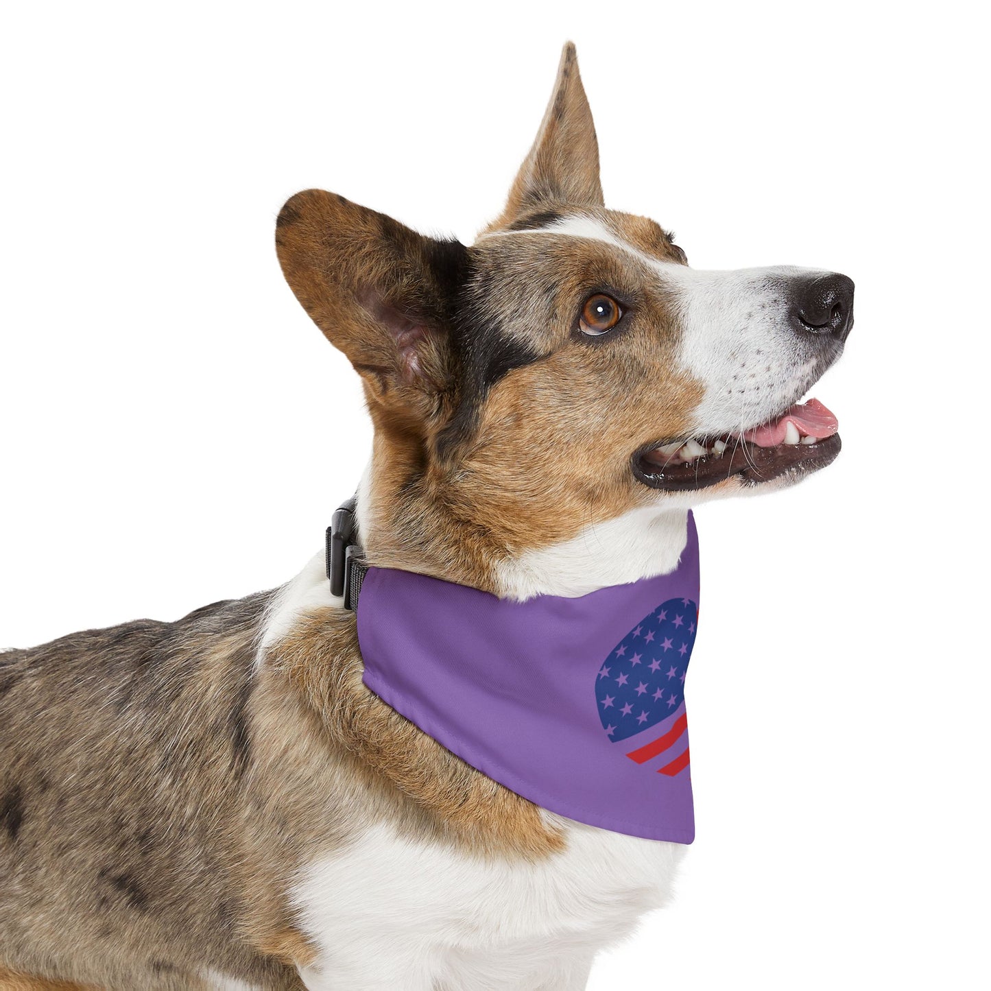 Princess Grace Patriotic Pet Bandana Collar American Heart Design for Dogs
