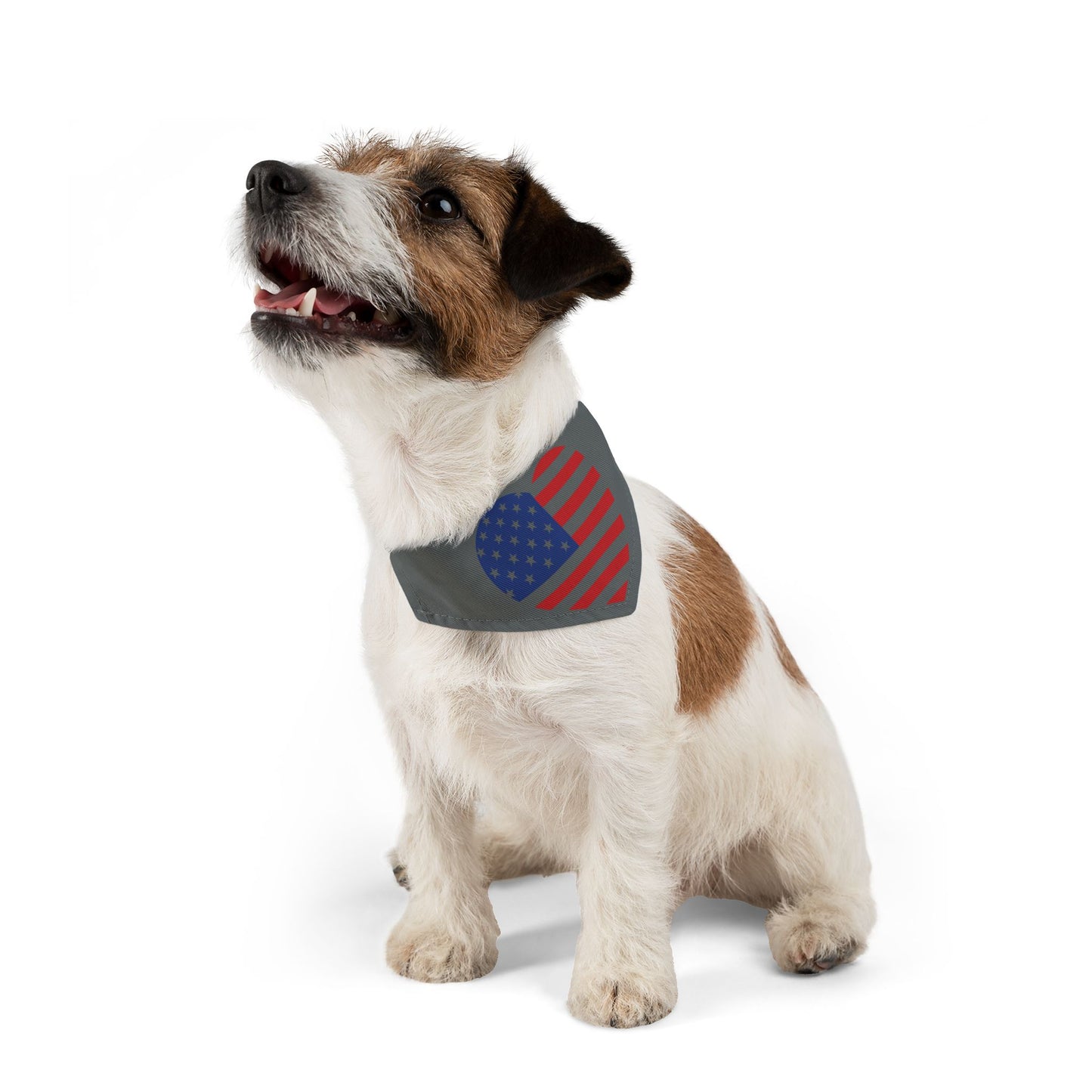 Princess Grace Patriotic Dog Bandana Collar Heart USA Design