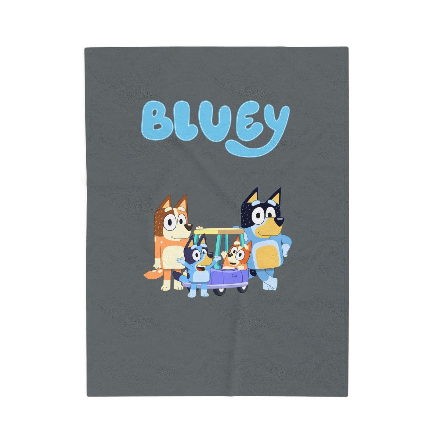 Princess Grace Bluey Velveteen Plush Blanket for Kids Cozy & Fun Throw for Blanket Forts and Storytime
