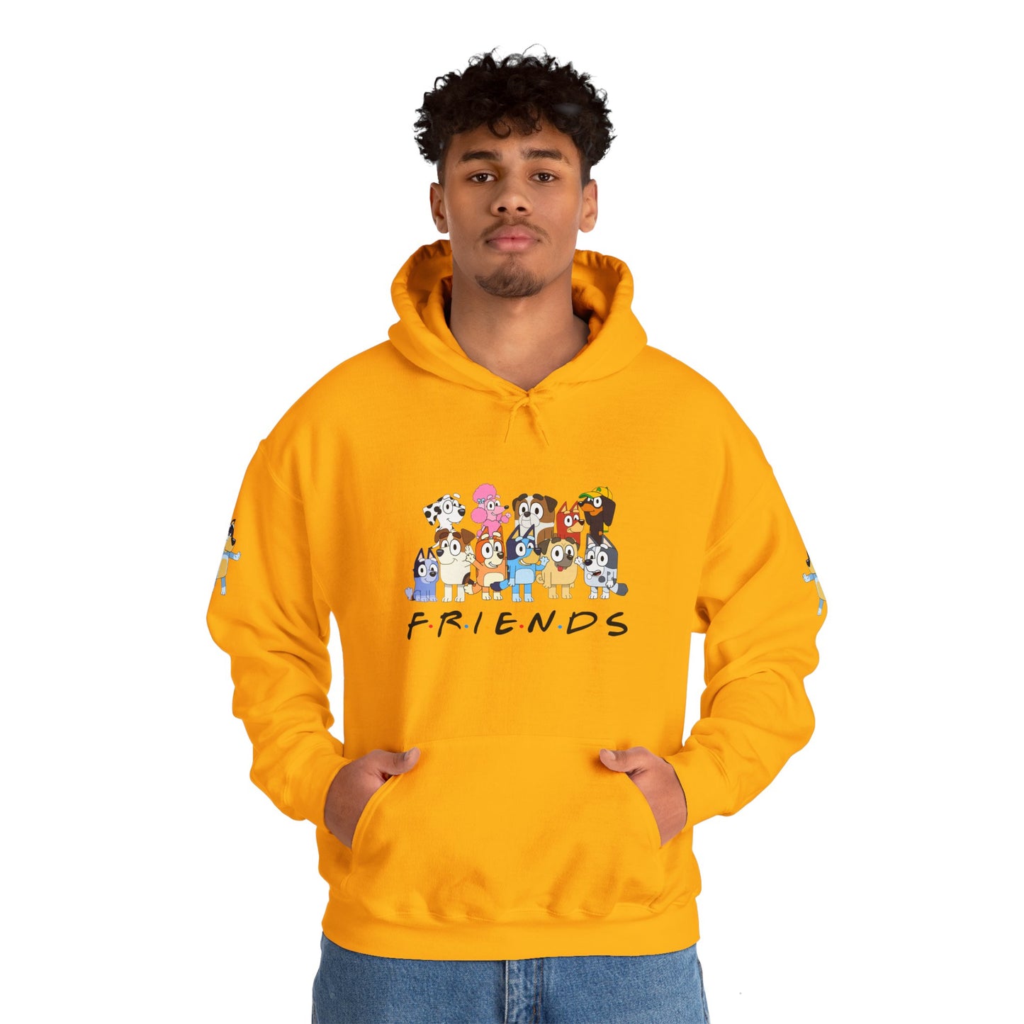 Princess Grace Bluey Unisex Heavy Blend Hooded Sweatshirt 'Friends' Cartoon Design