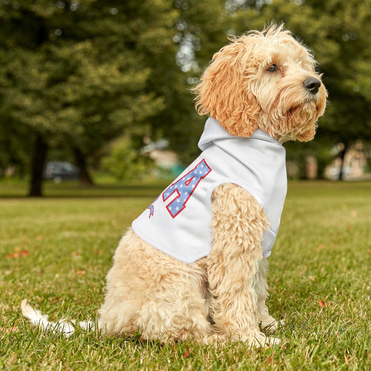 Princess Grace USA Stars & Stripes Pet Hoodie Celebrate in Style